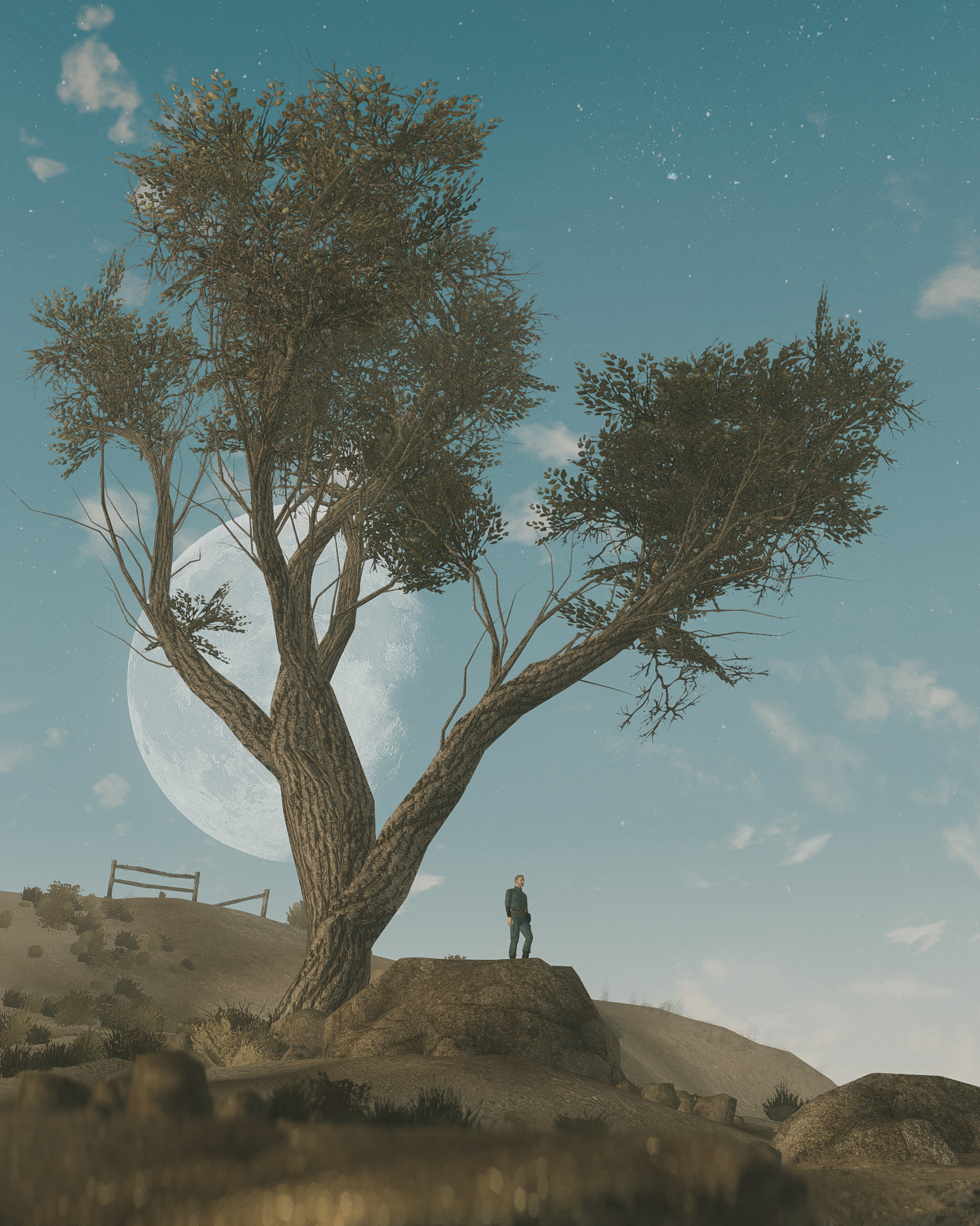 Fallout New Vegas
