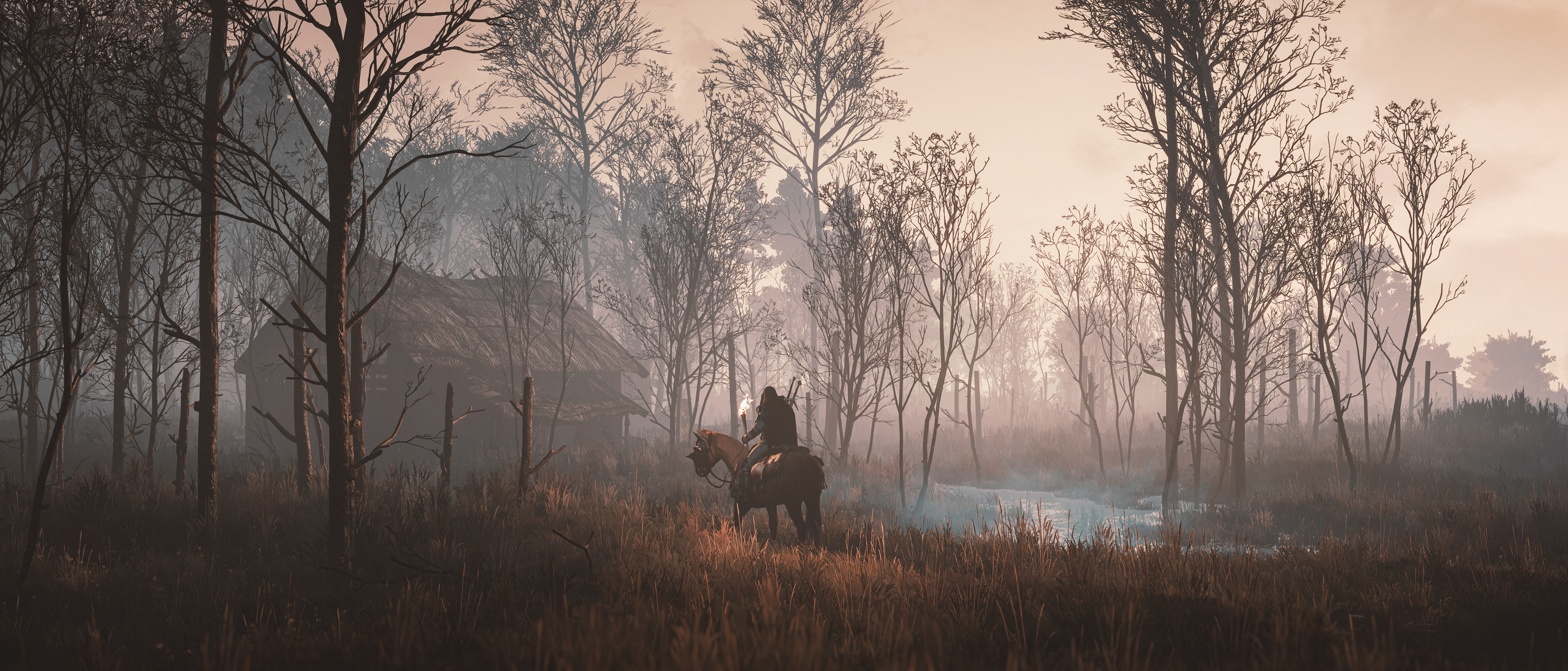 The Witcher 3: Wild Hunt (Next-gen)