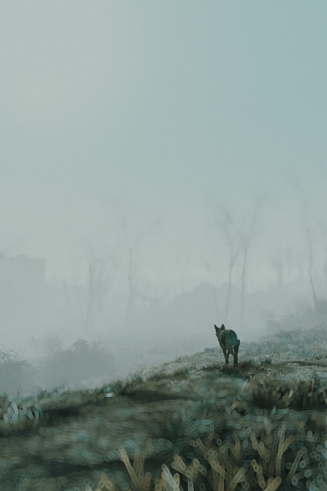 Fallout 4