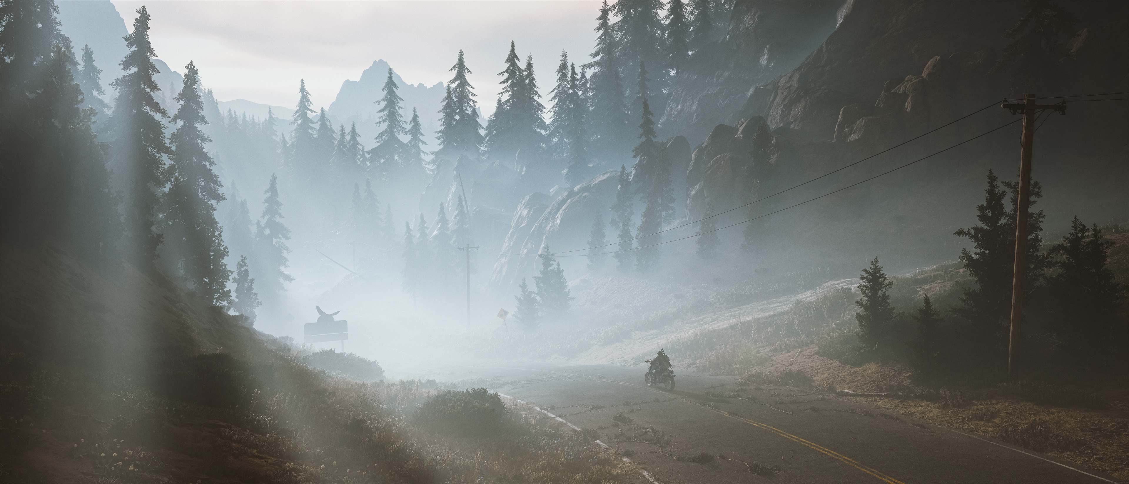 Days Gone