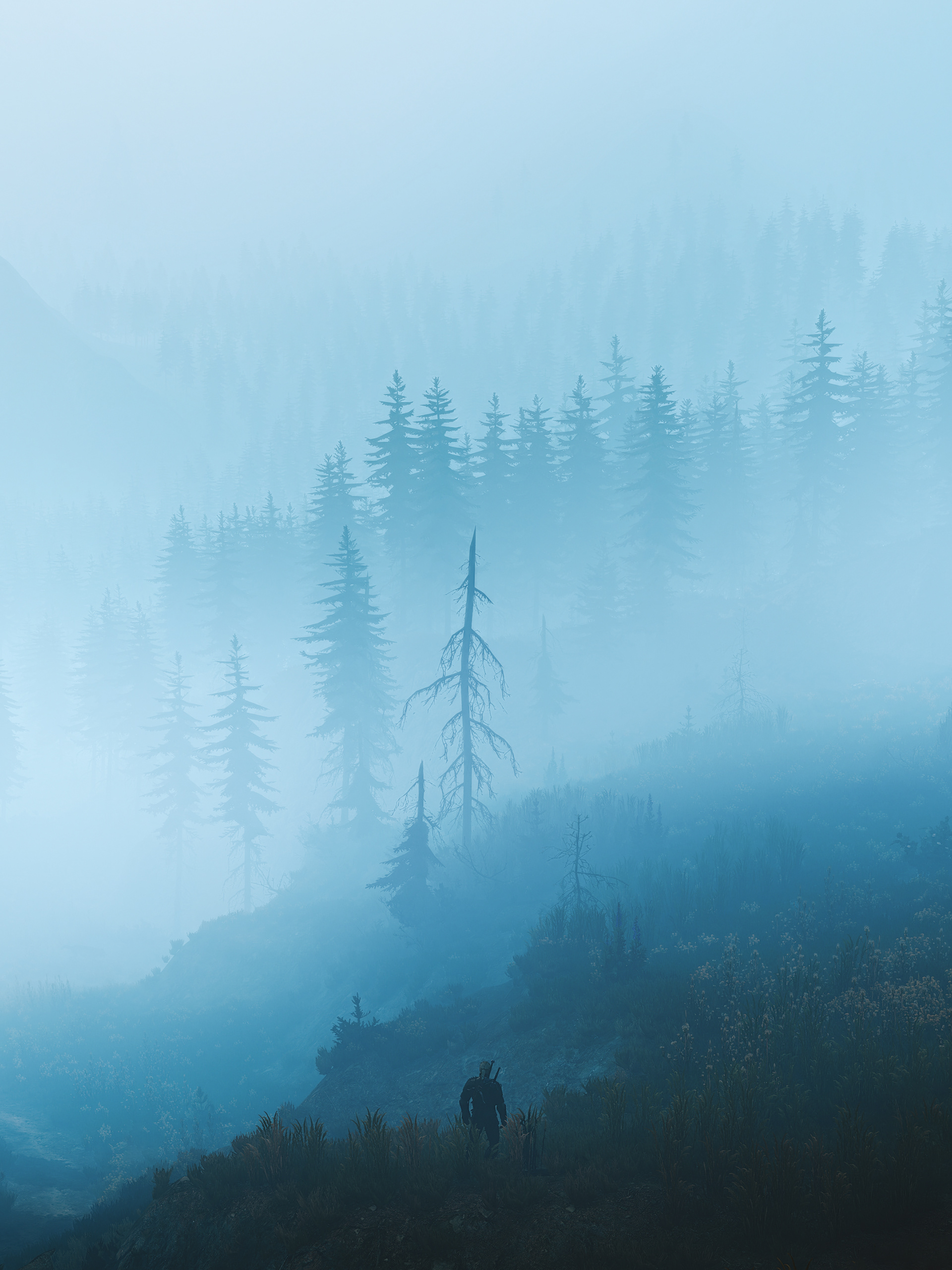 The Witcher 3: Wild Hunt