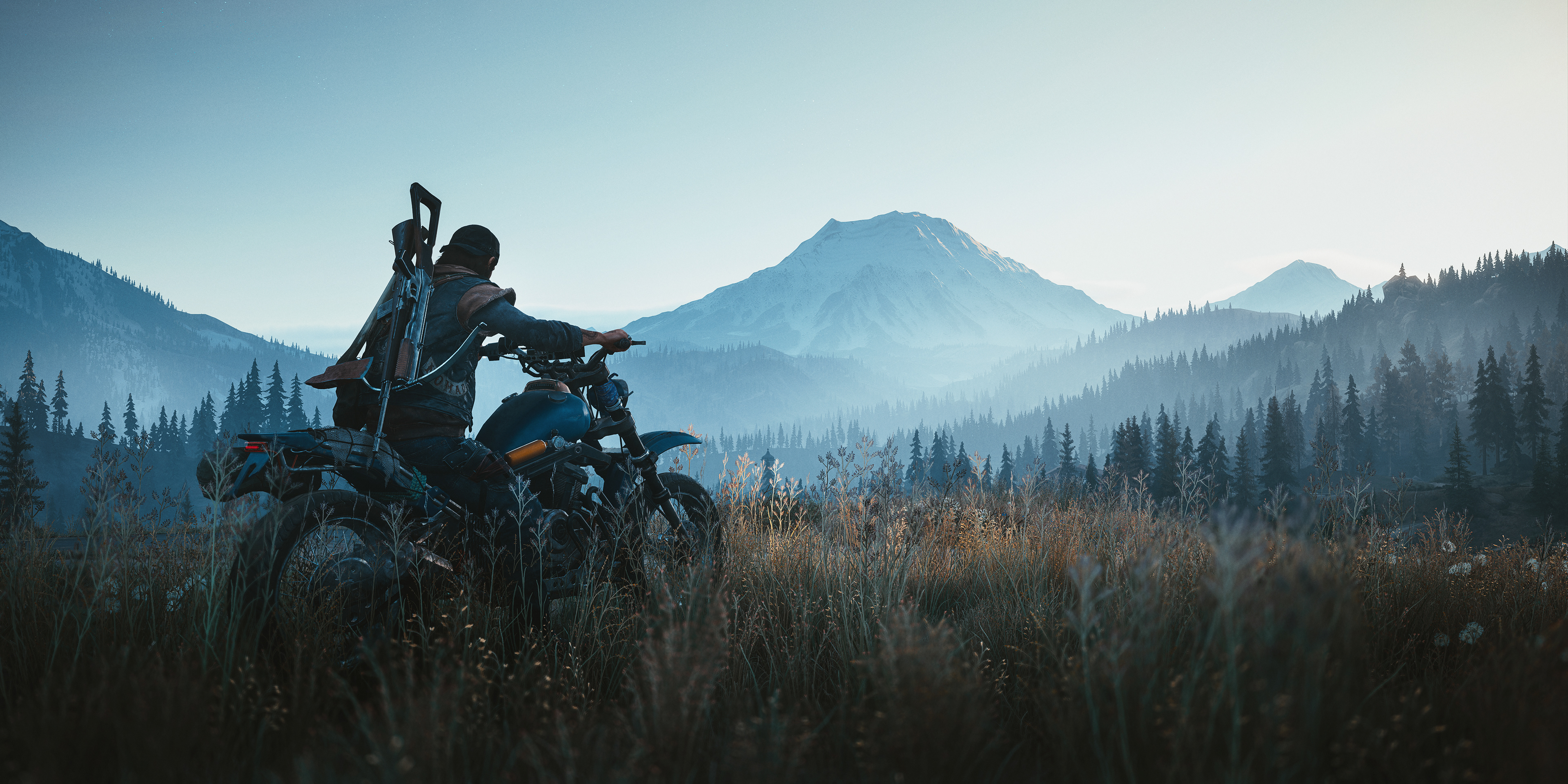 Days Gone