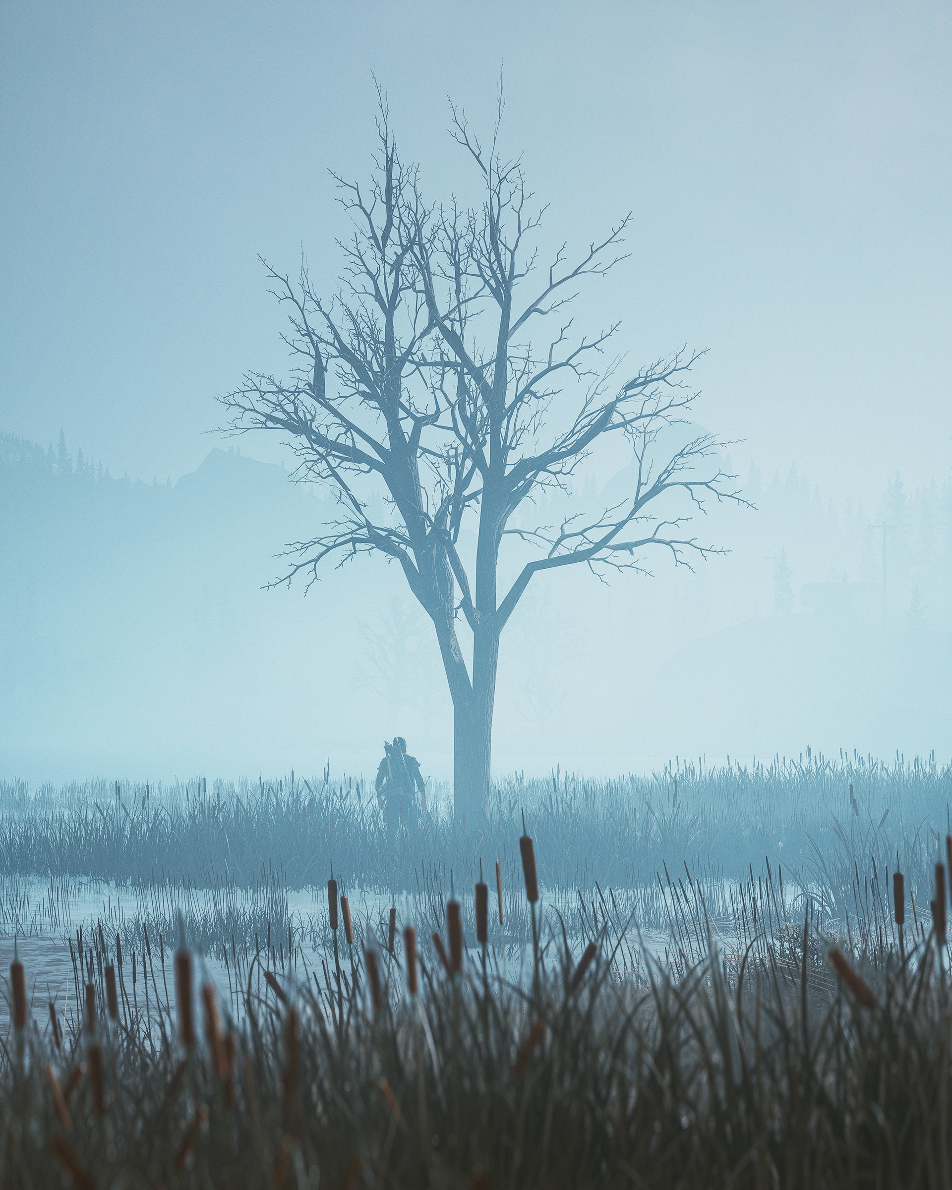 Days Gone