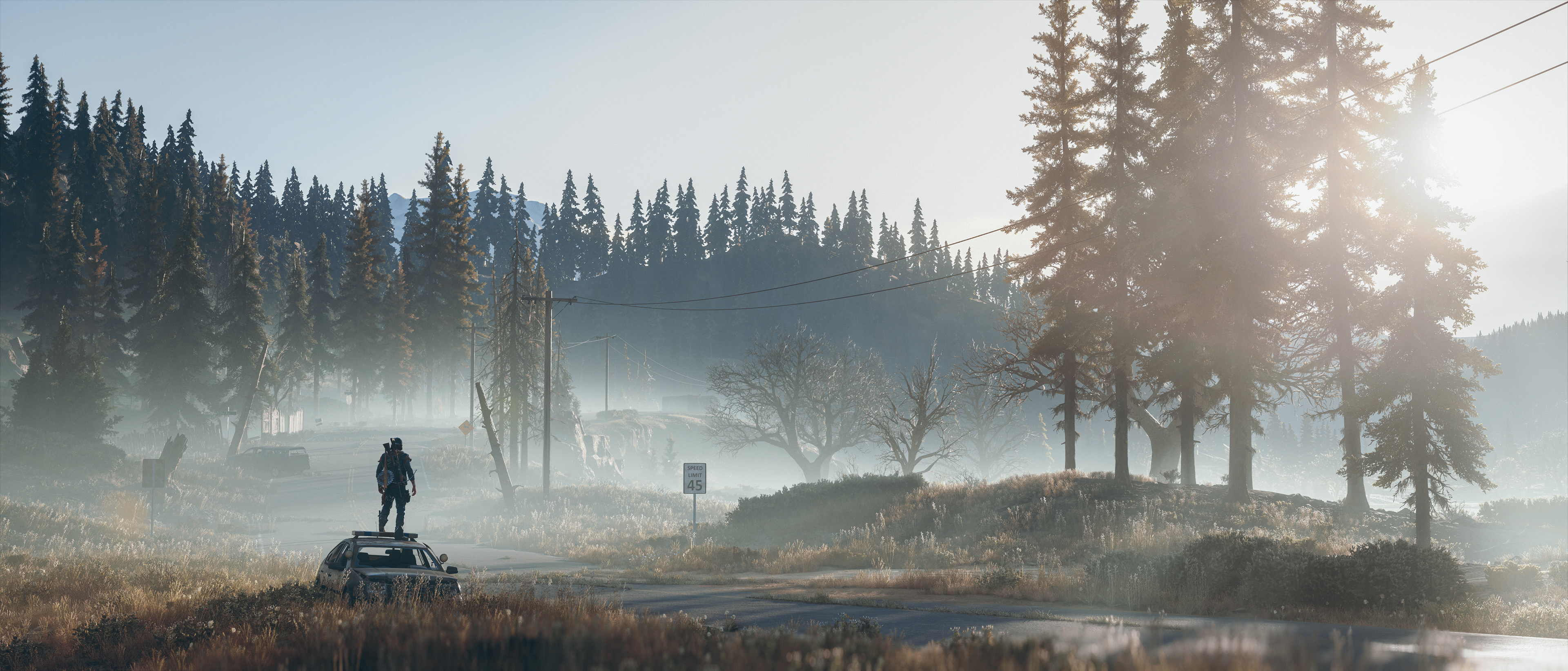 Days Gone