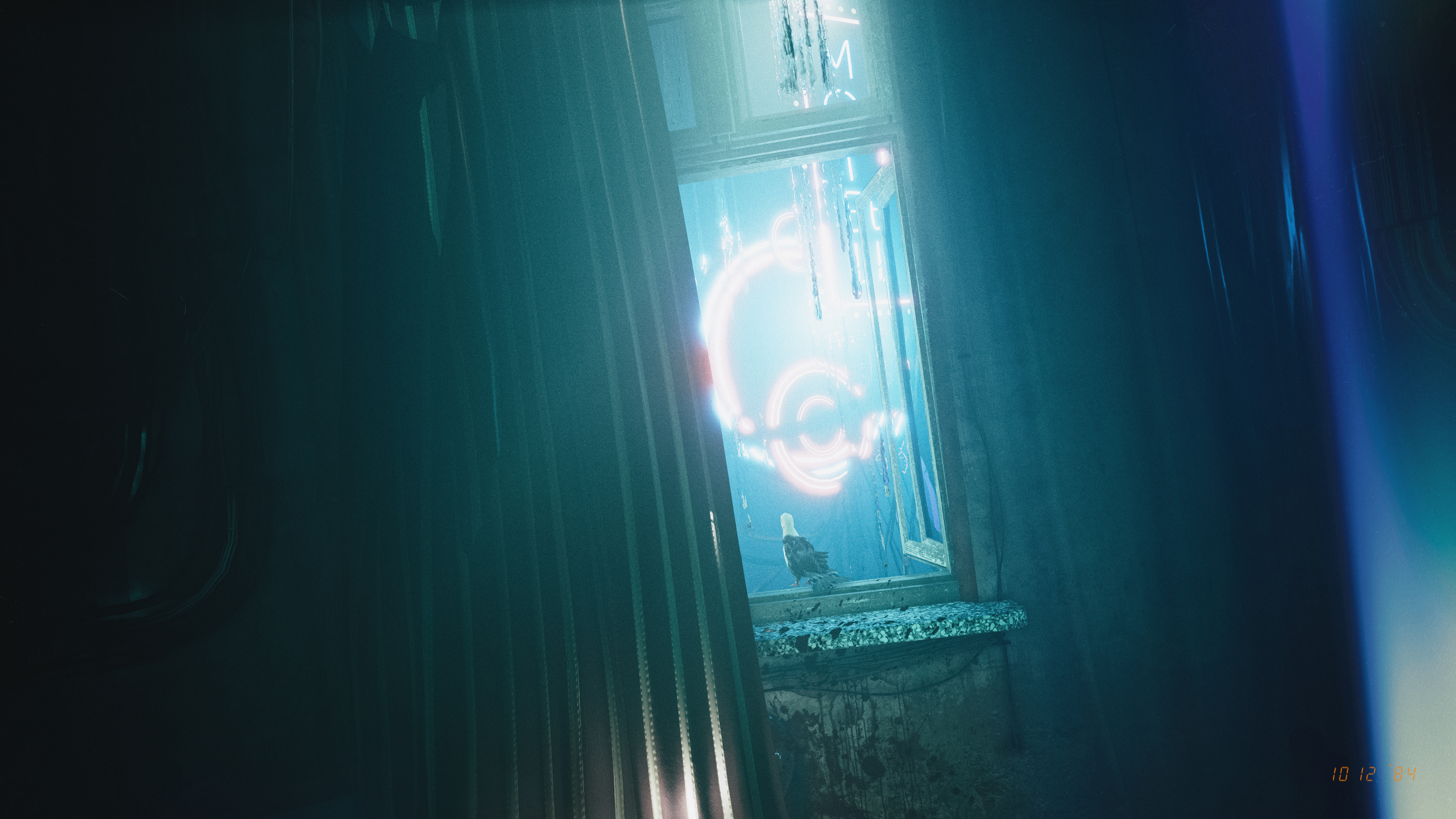 Observer