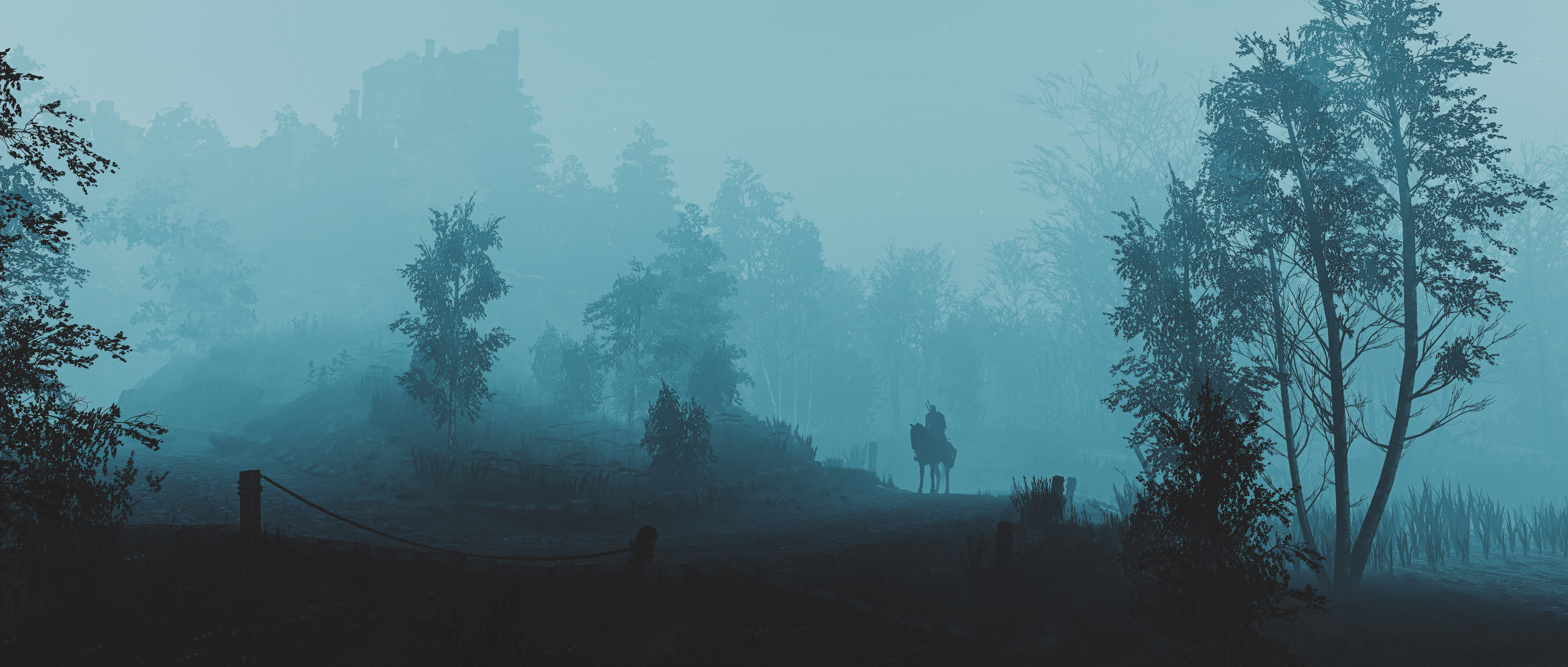 The Witcher 3: Wild Hunt