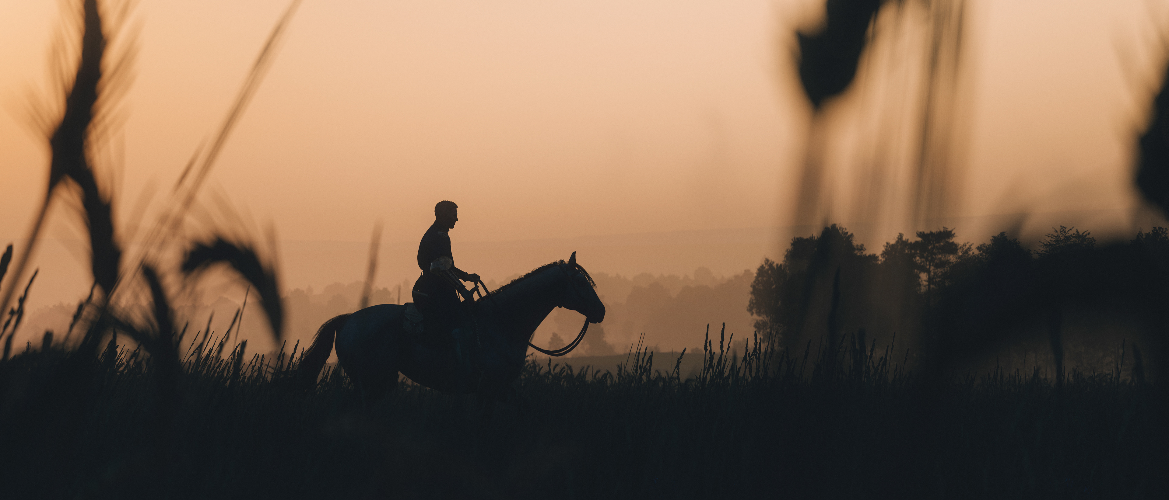 Kingdom Come: Deliverance II