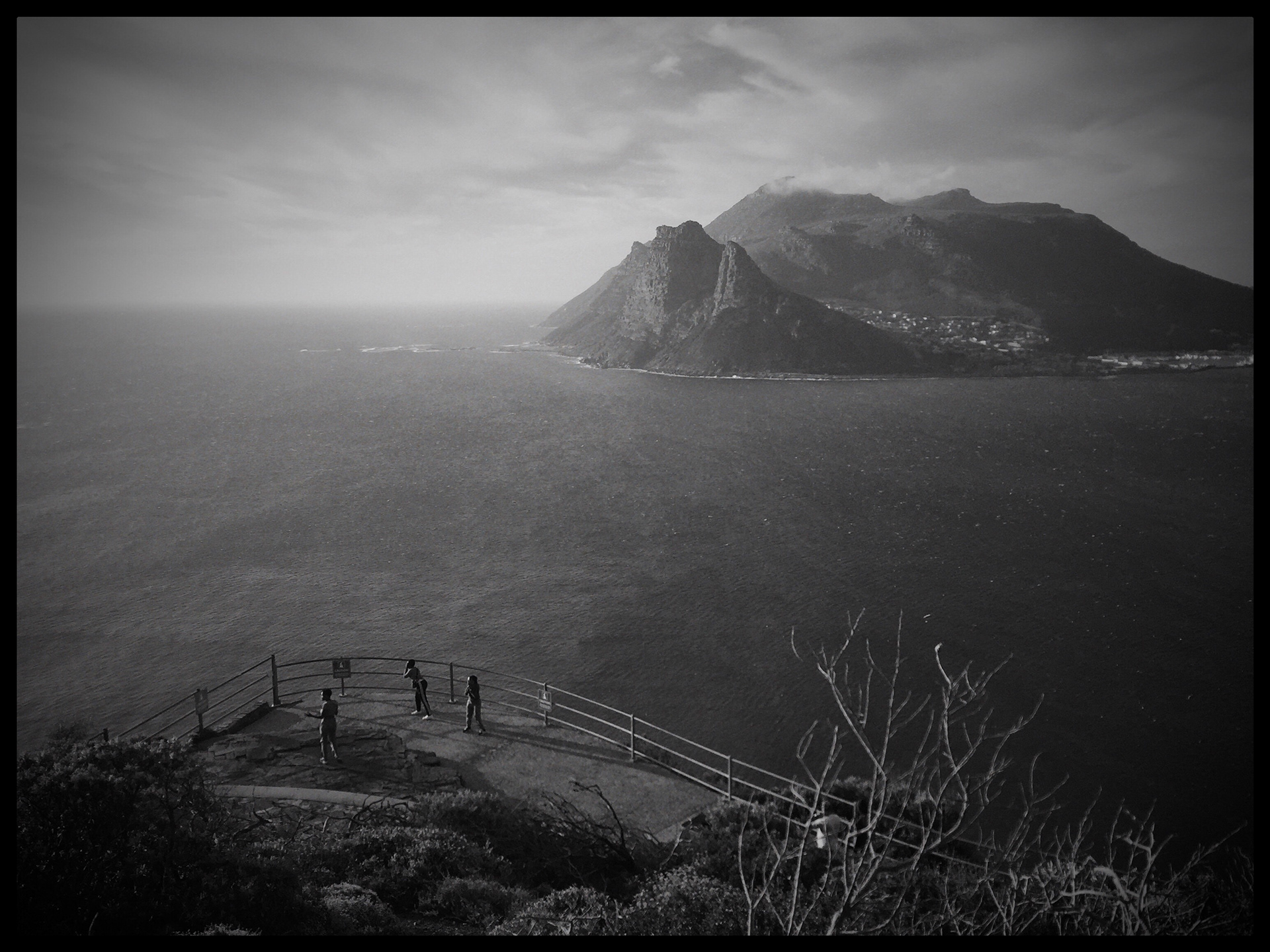 'Dancing in the Wind'