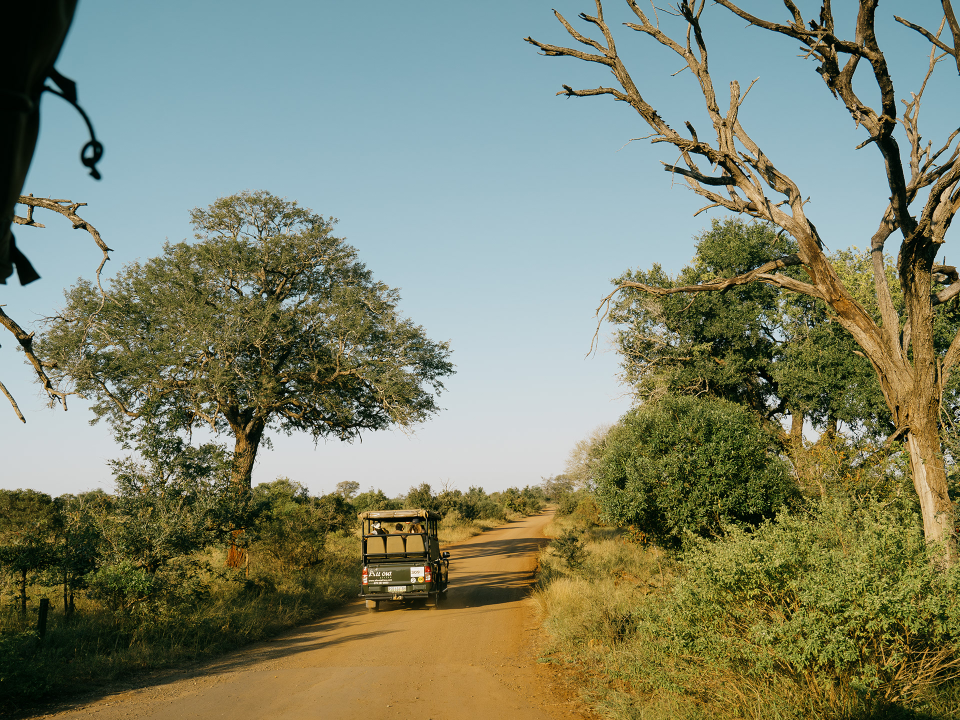 Kruger National Park - 2023