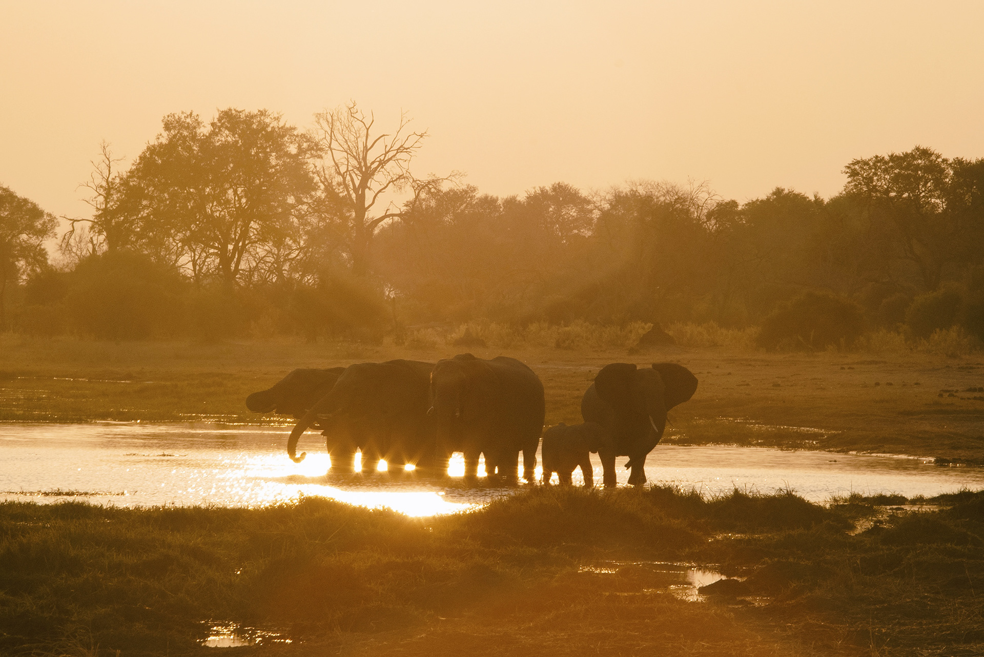 Okavango Dleta - Botswana 2024