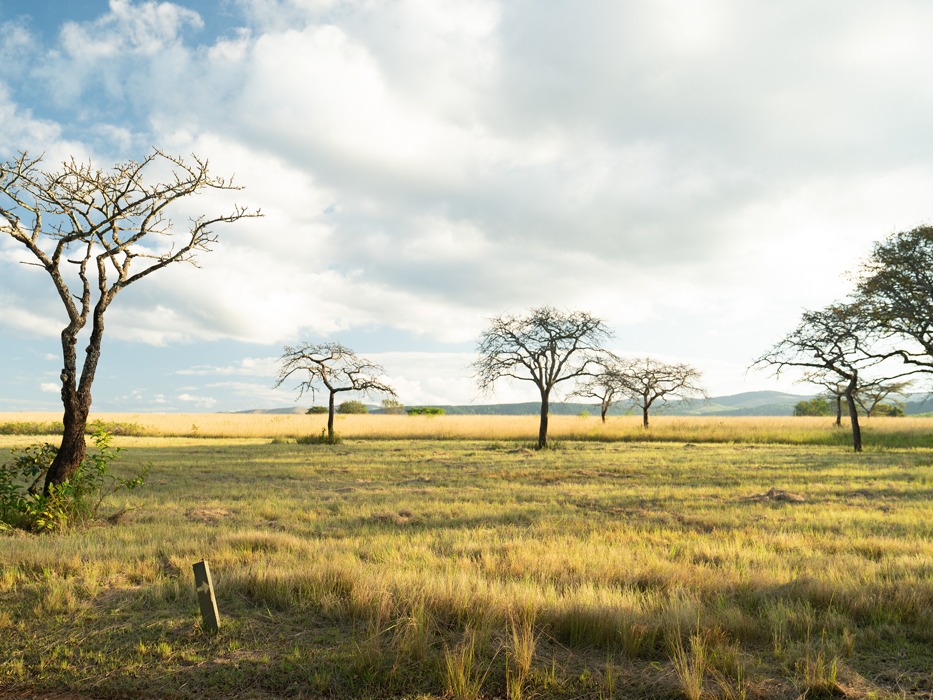 Mlilwane Nature Reserve - Eswatini 2024