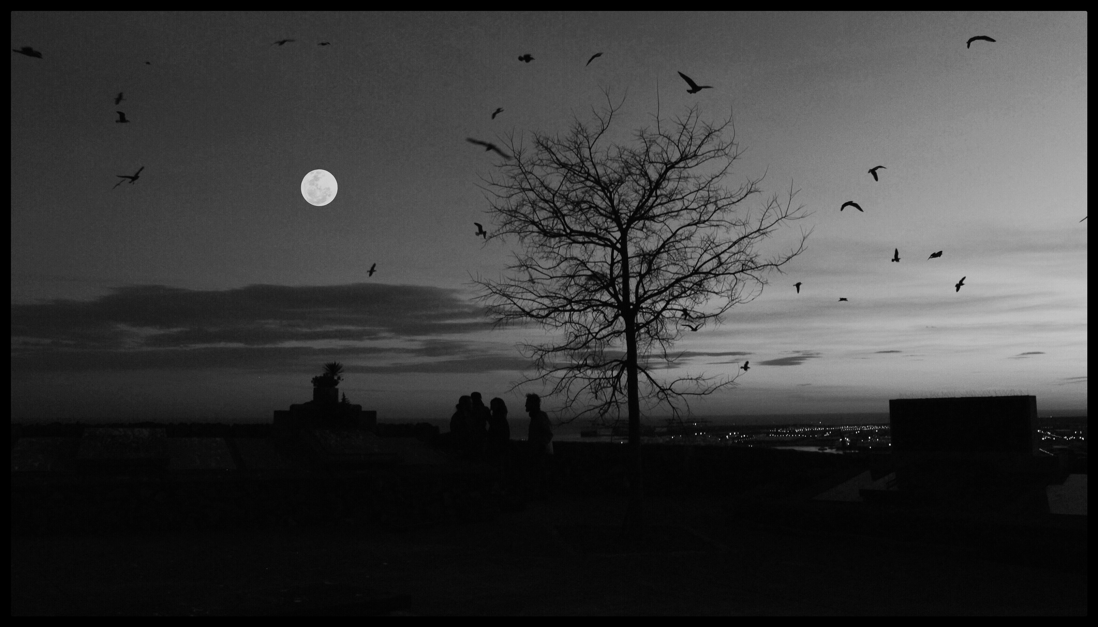 'Rebirth on Montjuic'