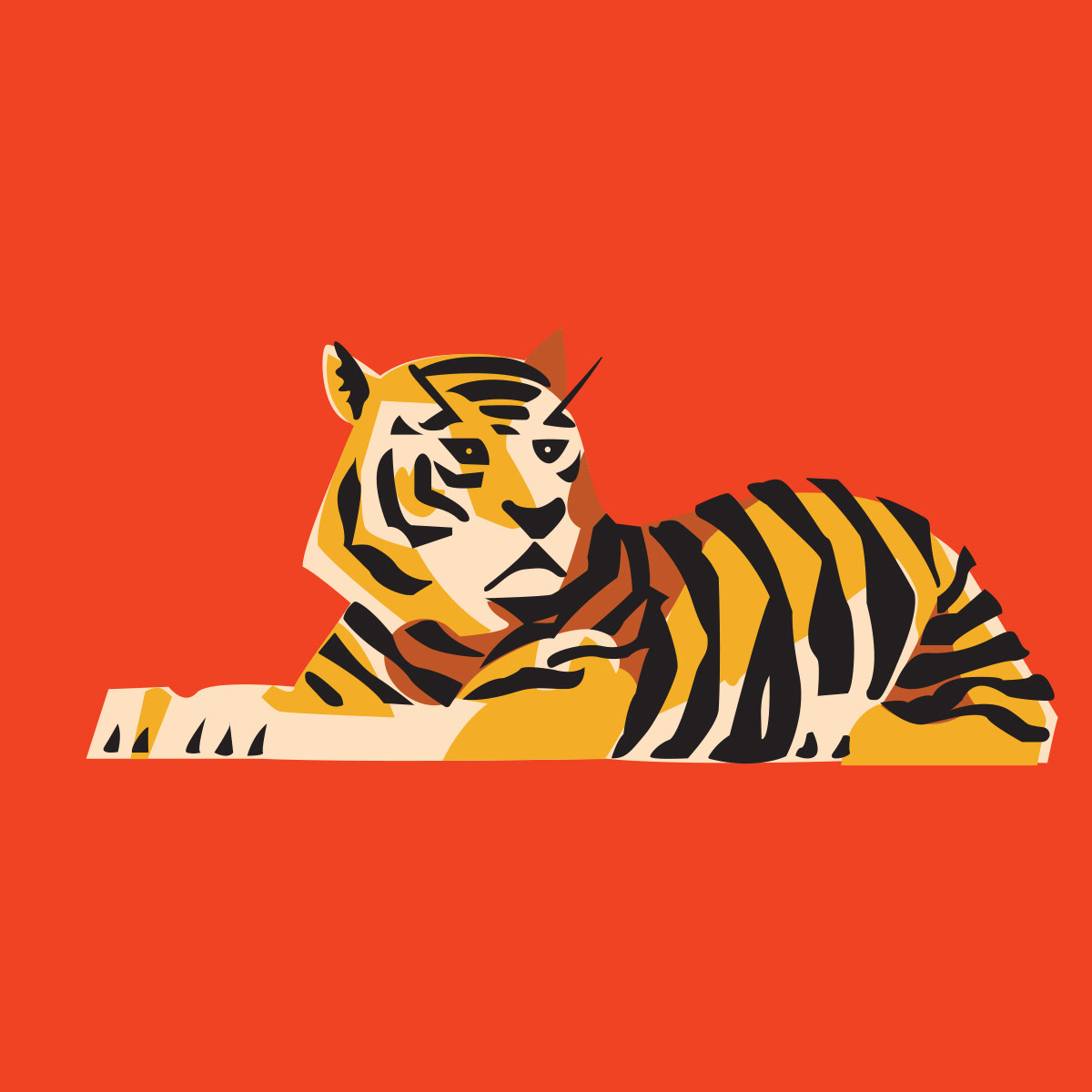 John Dilo Debut Pro Board