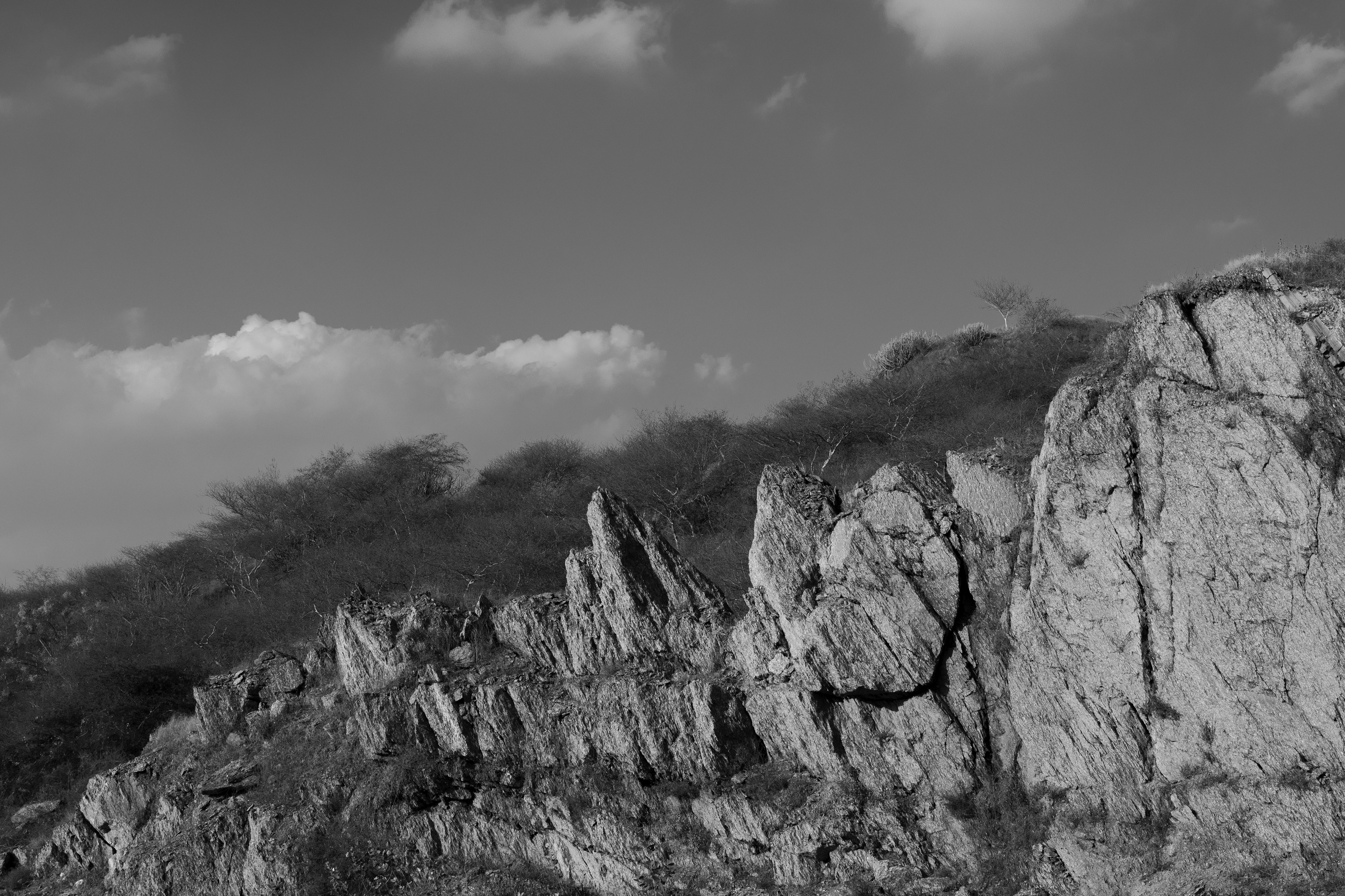 Erinpura Hills, Rajasthan