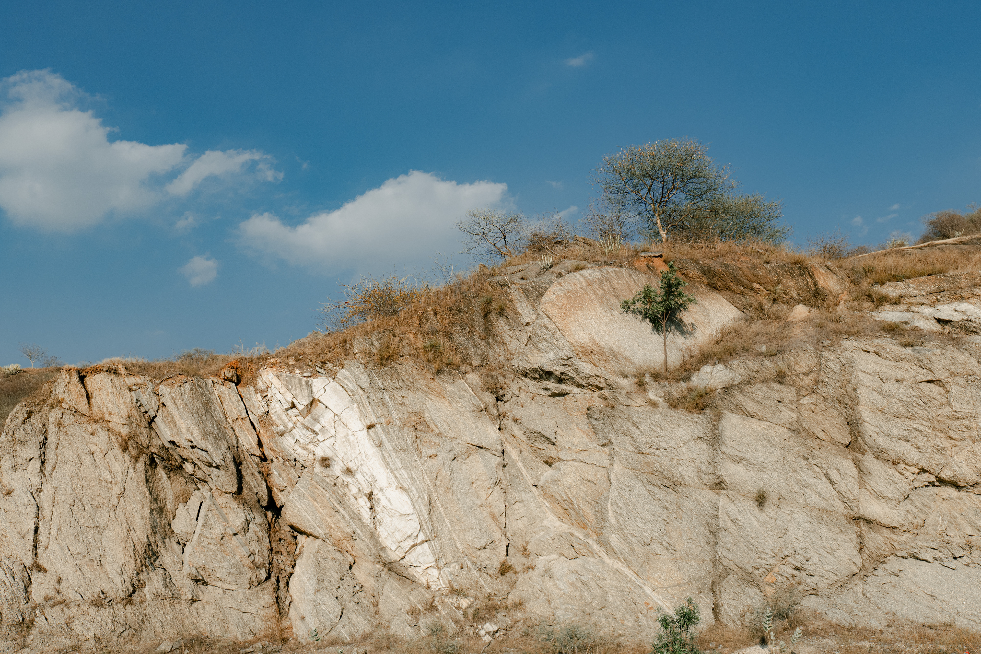 Erinpura Hills, Rajasthan