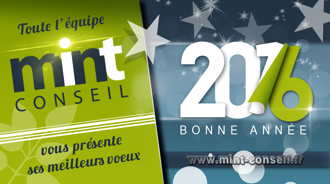 Création Meilleurs vœux 2016 Mint-Conseil