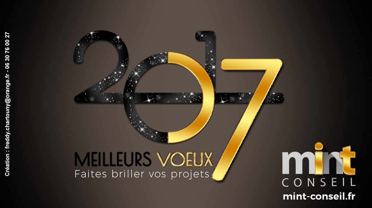 Création Meilleurs vœux 2017 Mint Conseil