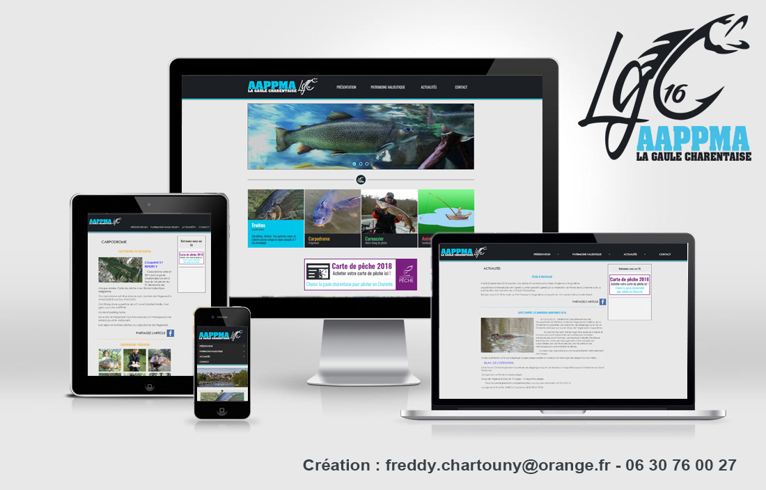 Création webdesign (charte graphique, ergonomie, arborescence, typo, icône, visuels personnalisés,...)