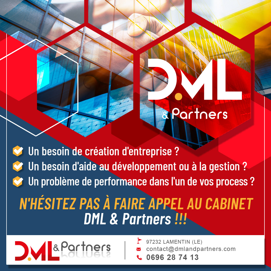 Création Pub web DML & Partners