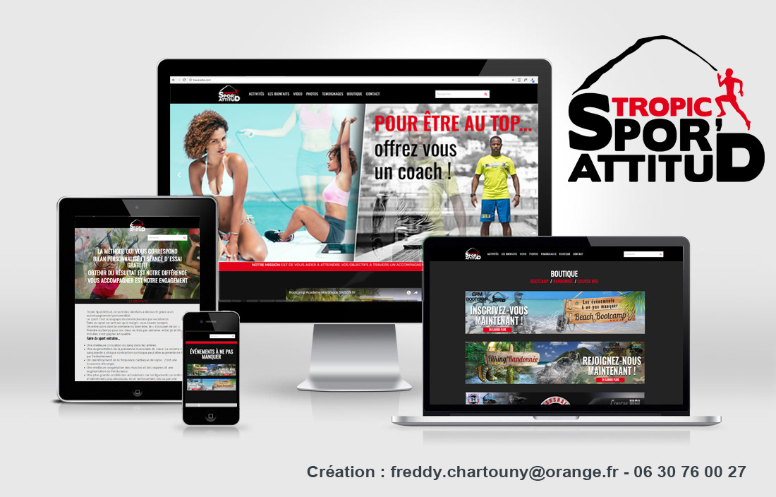Création webdesign (charte graphique, ergonomie, arborescence, typo, icône, visuels personnalisés,...)