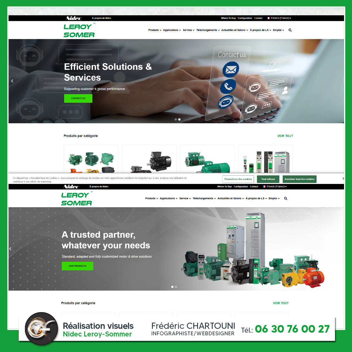 Création visuels pour le site internet Nidec leroy-Somer 