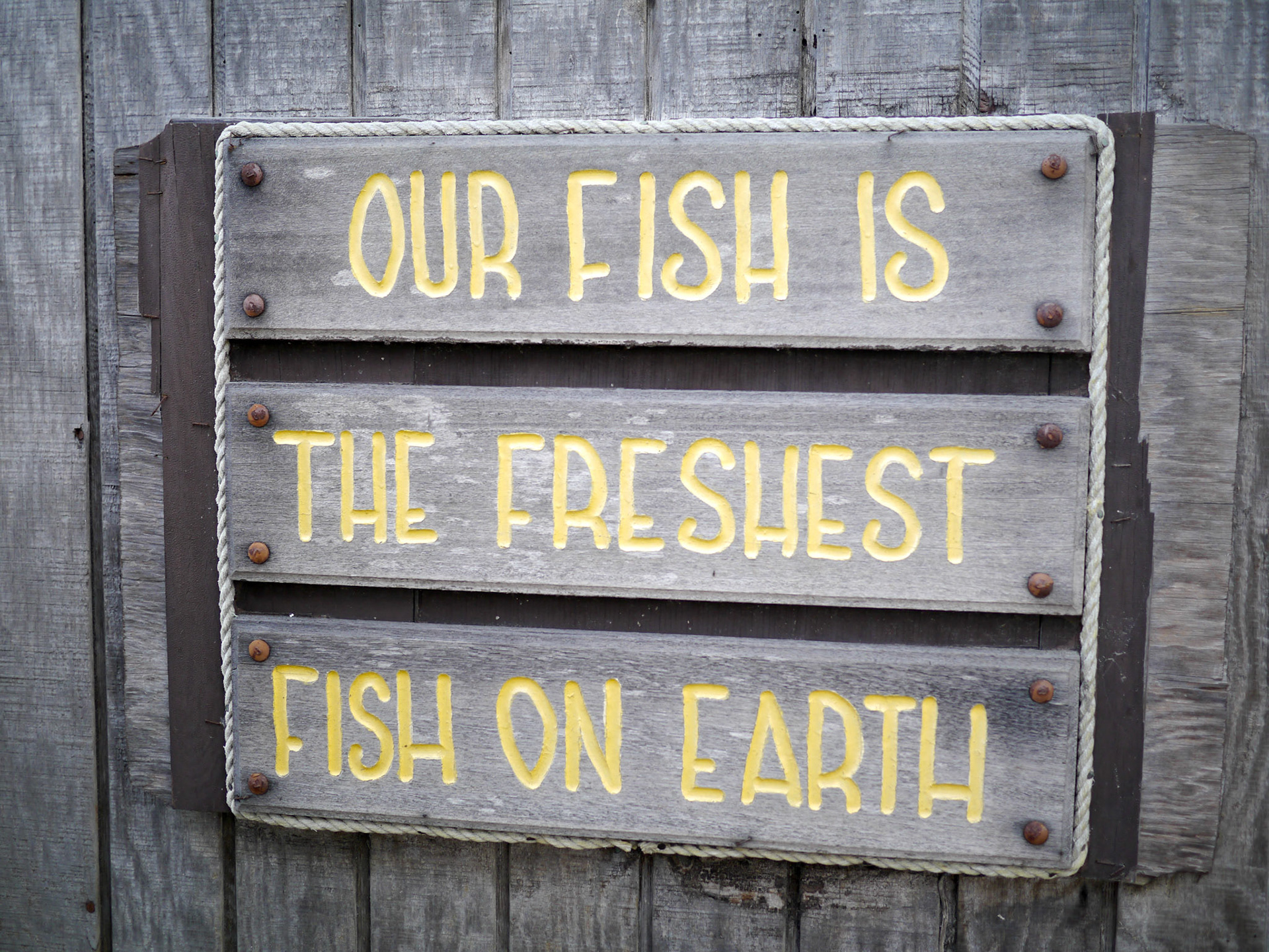 Fresh fish
