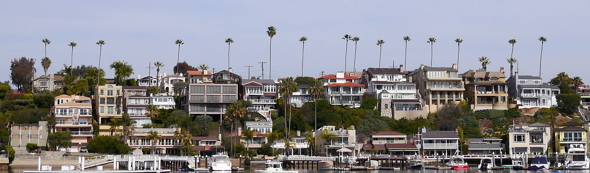 Palms