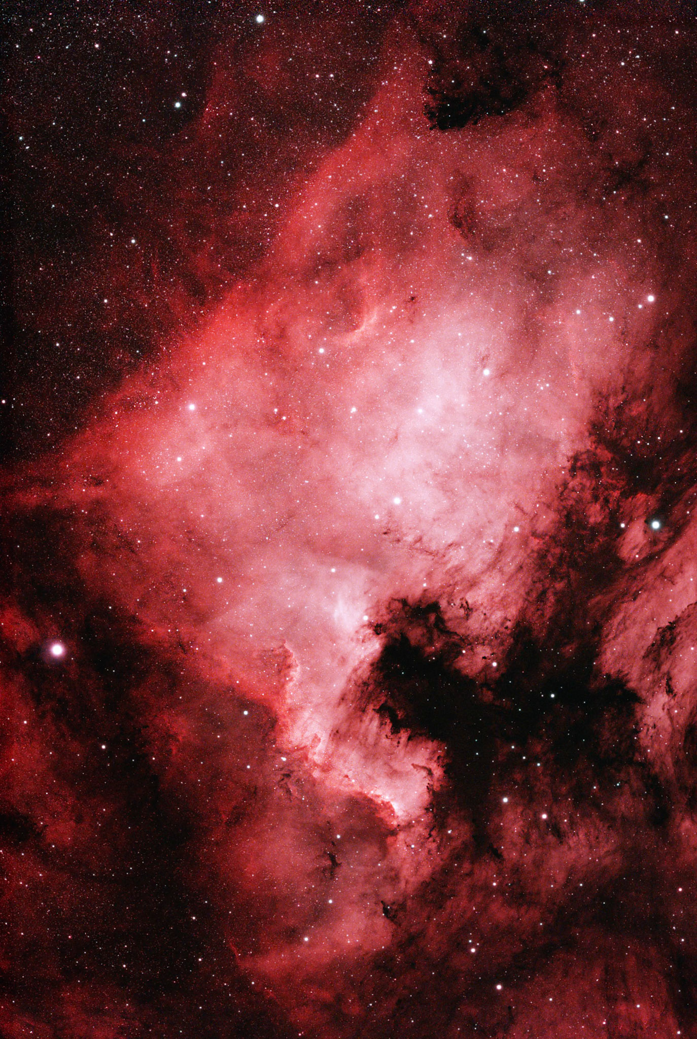 North America Nebula (NGC 7000)