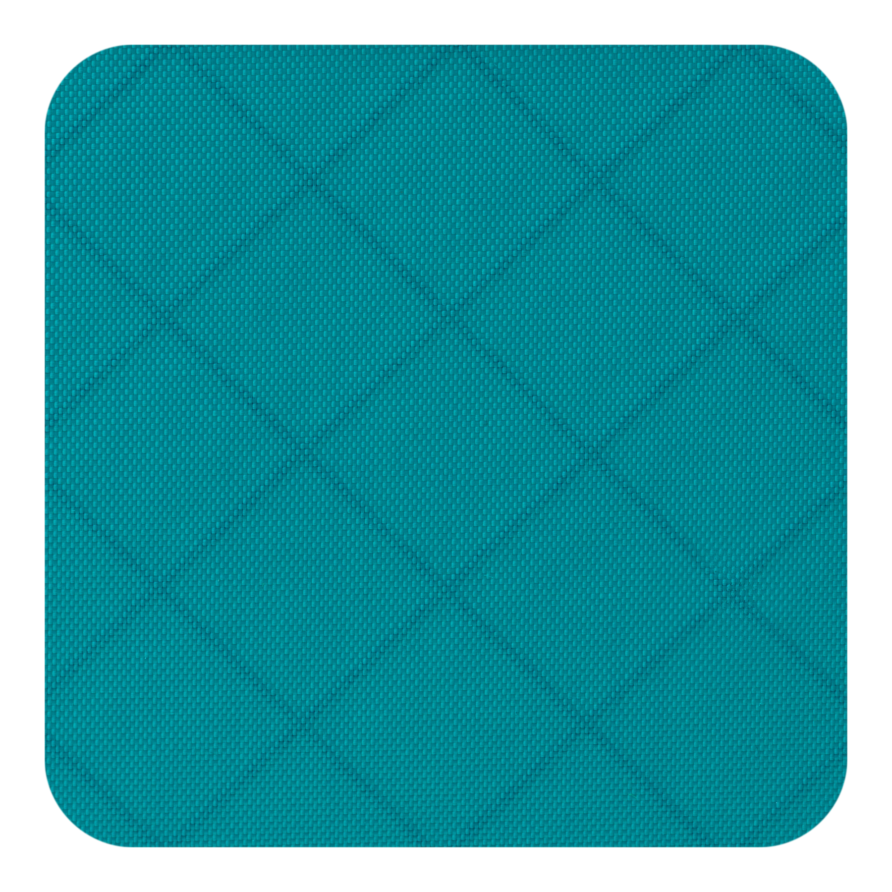 Tropical Teal