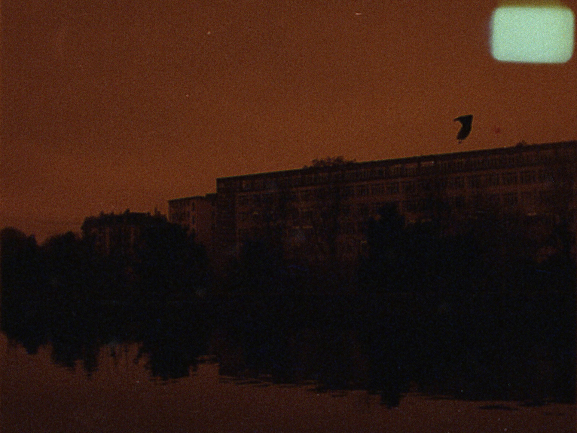 Ruined film creating art, Zurich 2020