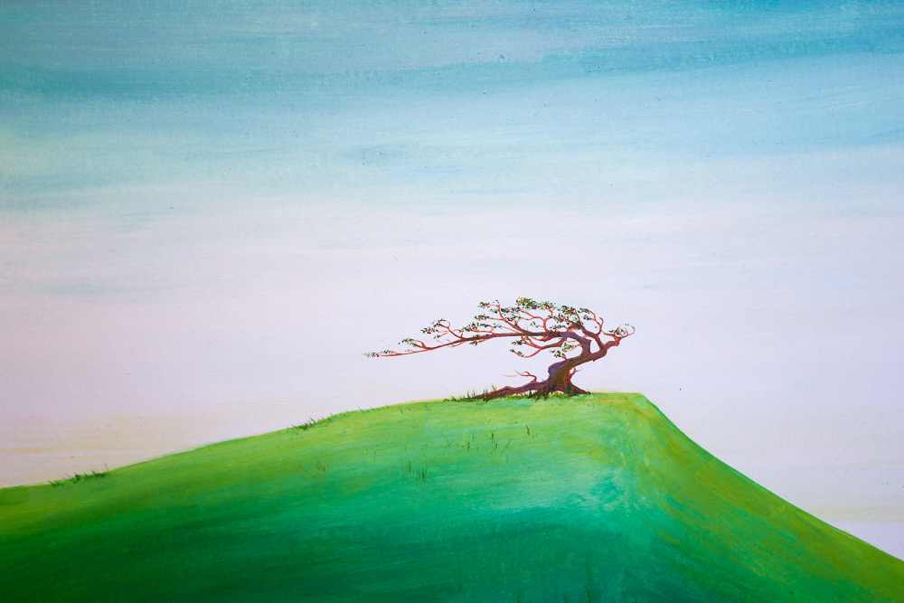 Windswept Tree, 20 x 14 cm, Acrylic on board