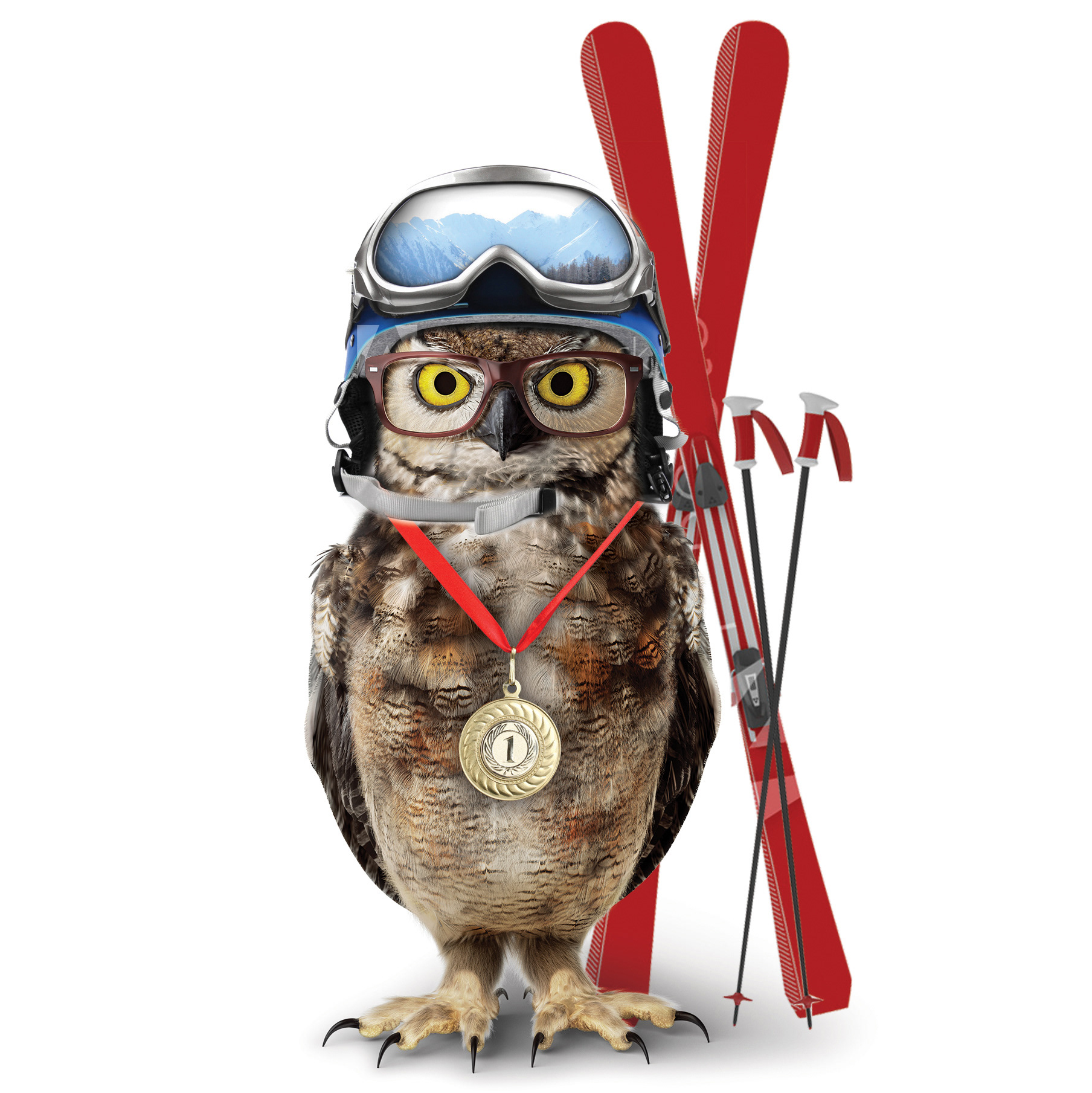 Winter Olympics Social Post