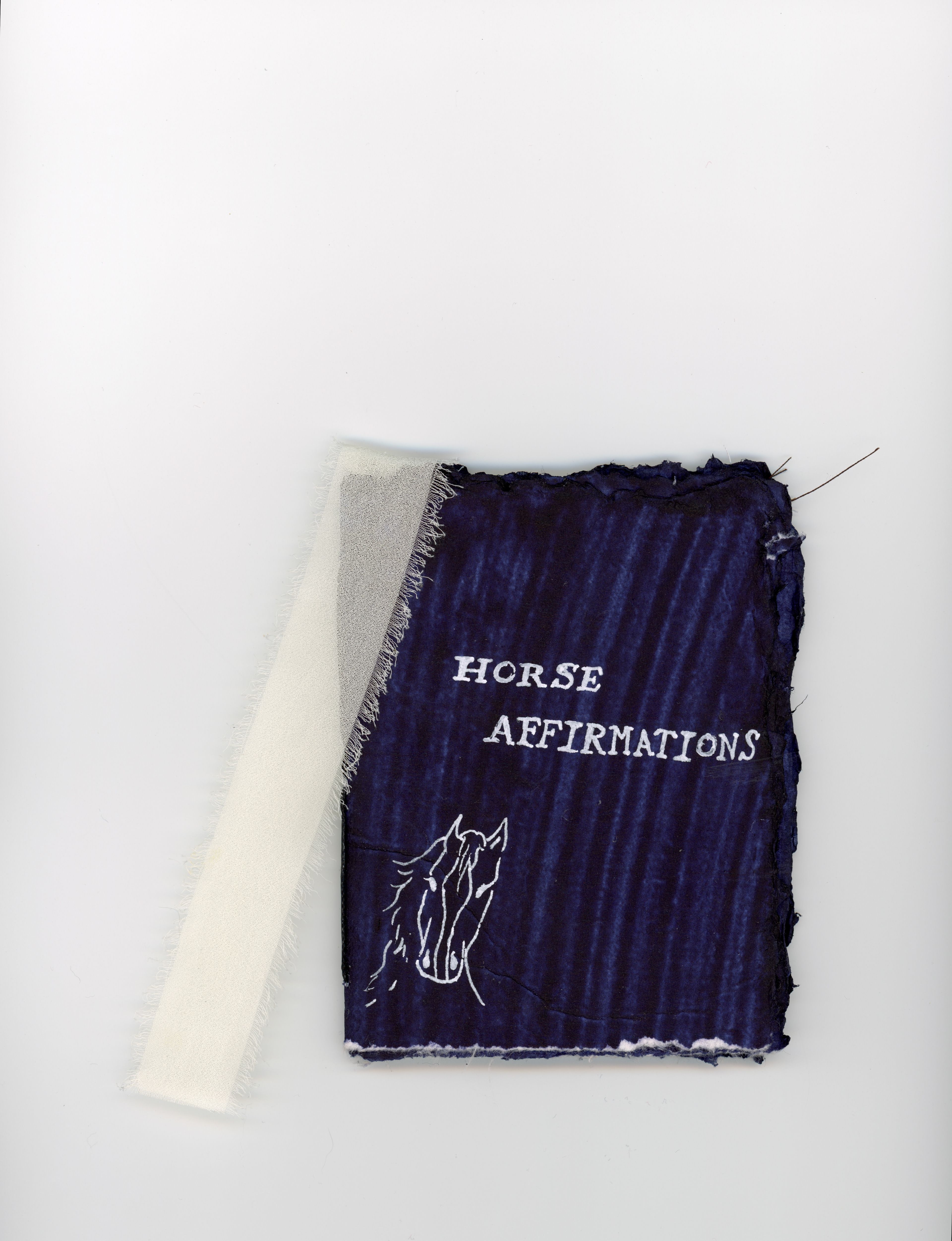 horse affirmations, pocketbook
