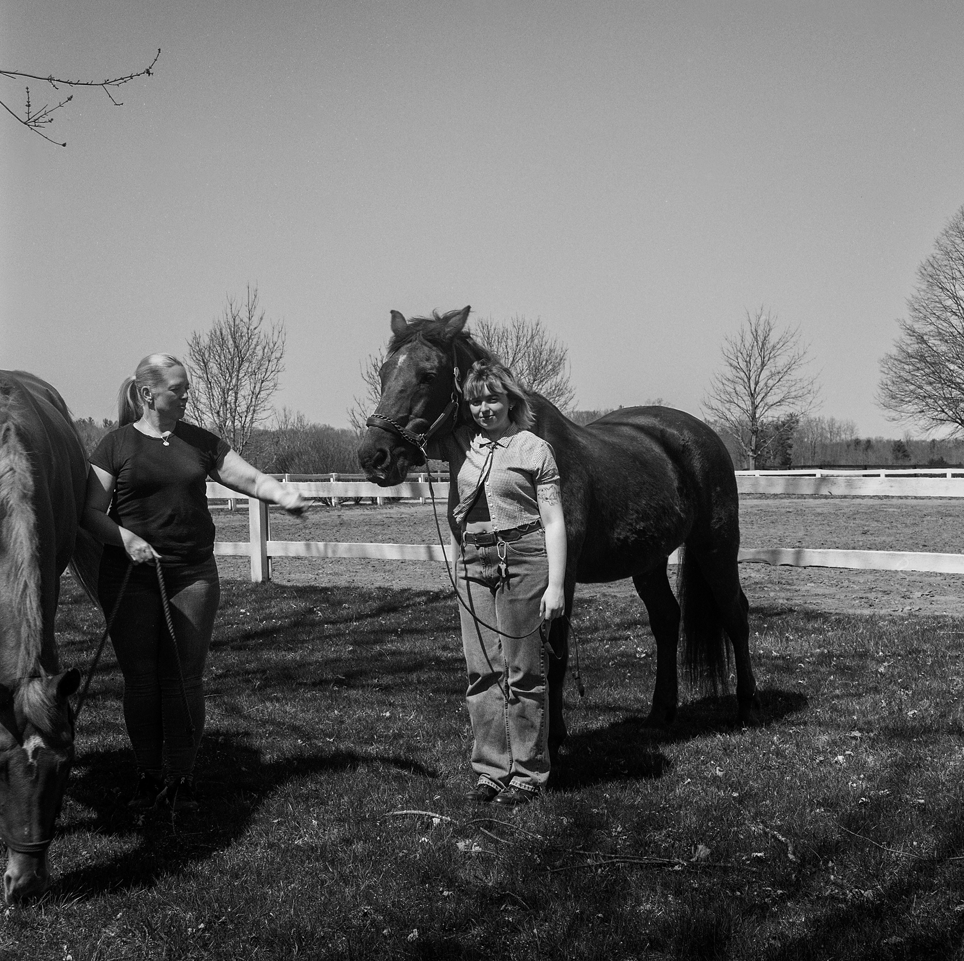 horses in my dreams 9/11