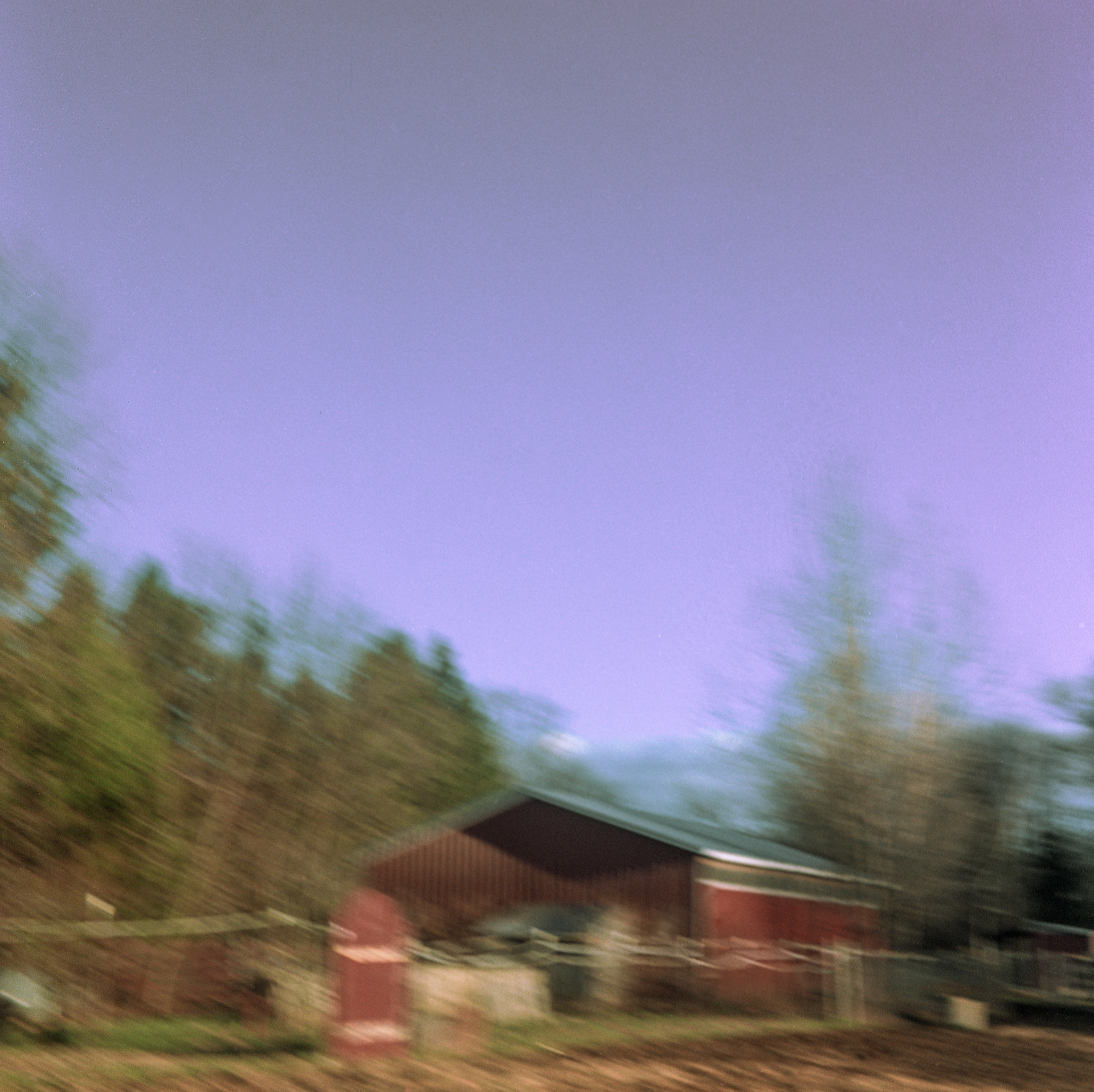 horses in my dreams 1/11