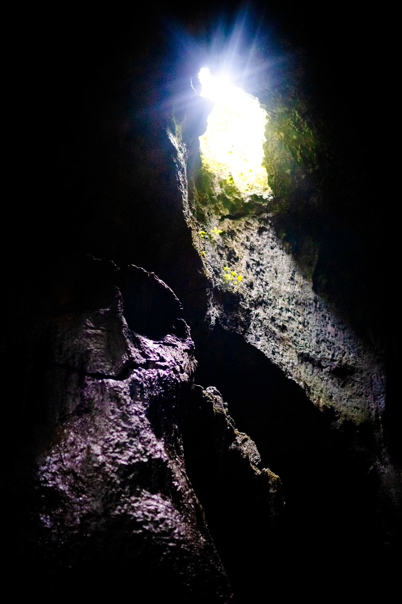 PAGDAHOM | Worm's Eye View | Canon EOS RP 50mm F 1.8 STM | ISO 4000 f / 1.8 1/800 sec