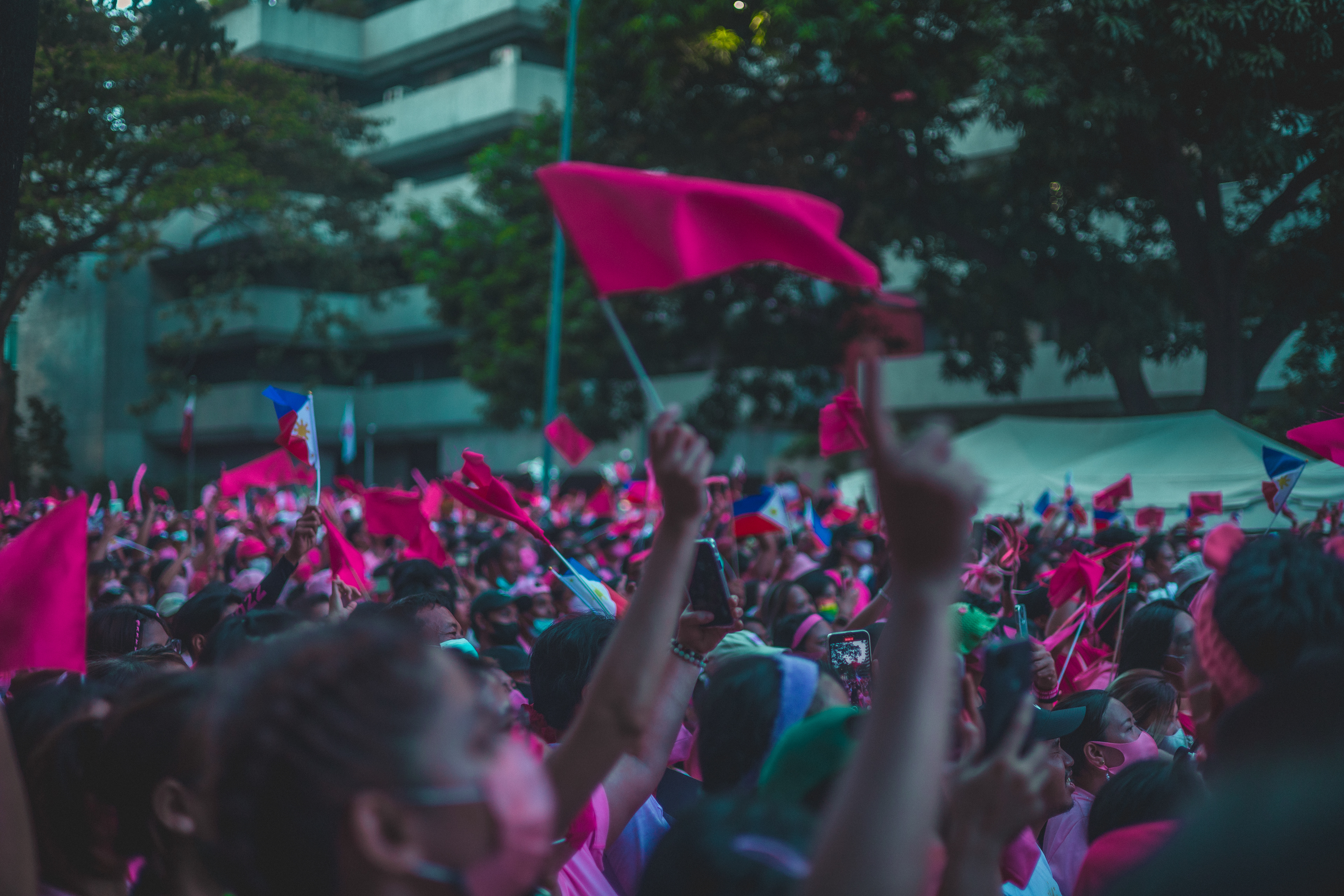 ISO 400 f / 1.8 1/500