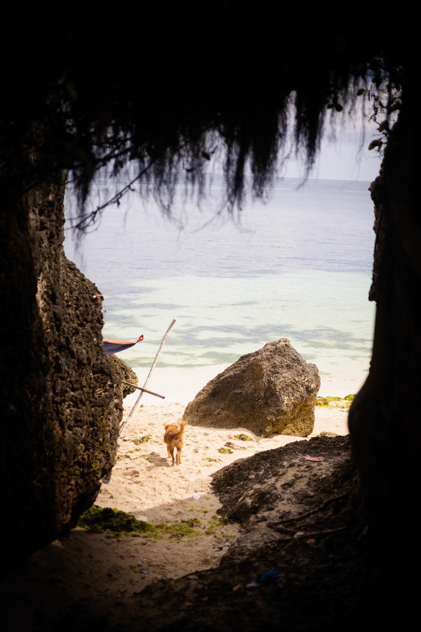 BUKANA | Natural Framing | Canon EOS RP 50mm F 1.8 STM | ISO 100 f / 1.8 1/4000 sec