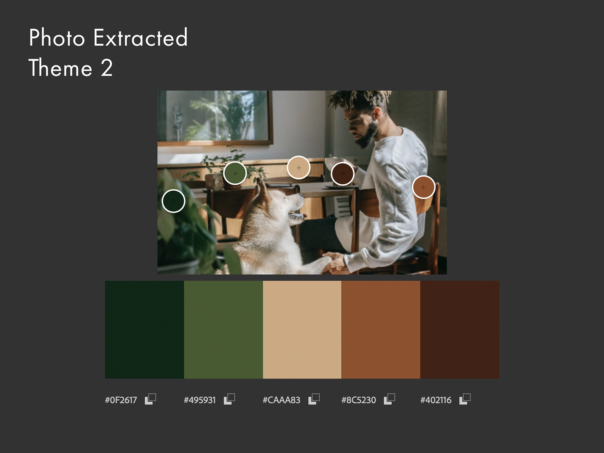 Photo extracted color palette theme 2.