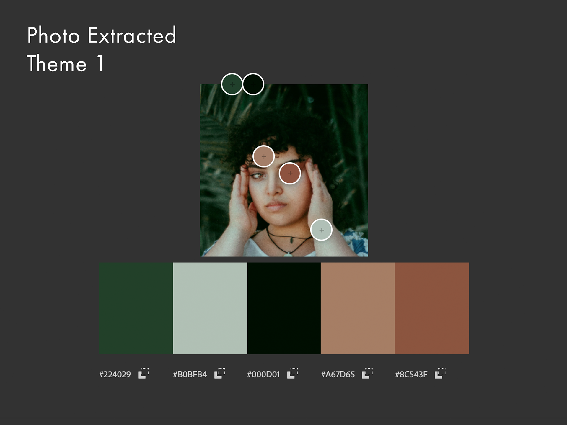 Photo extracted color palette theme 1.