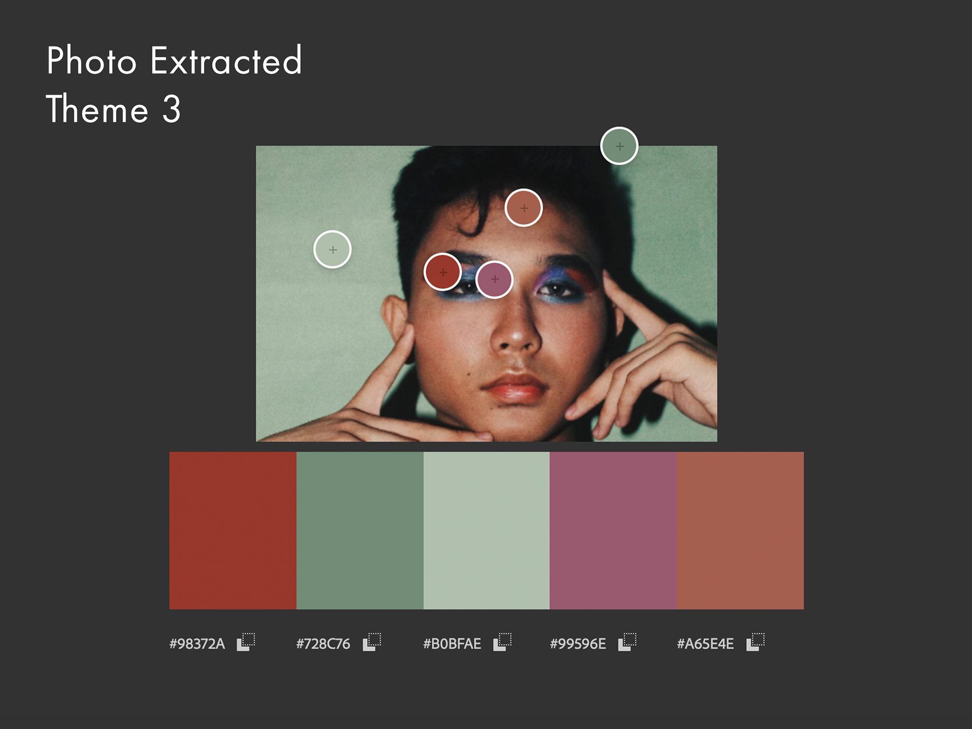Photo extracted color palette theme 3.