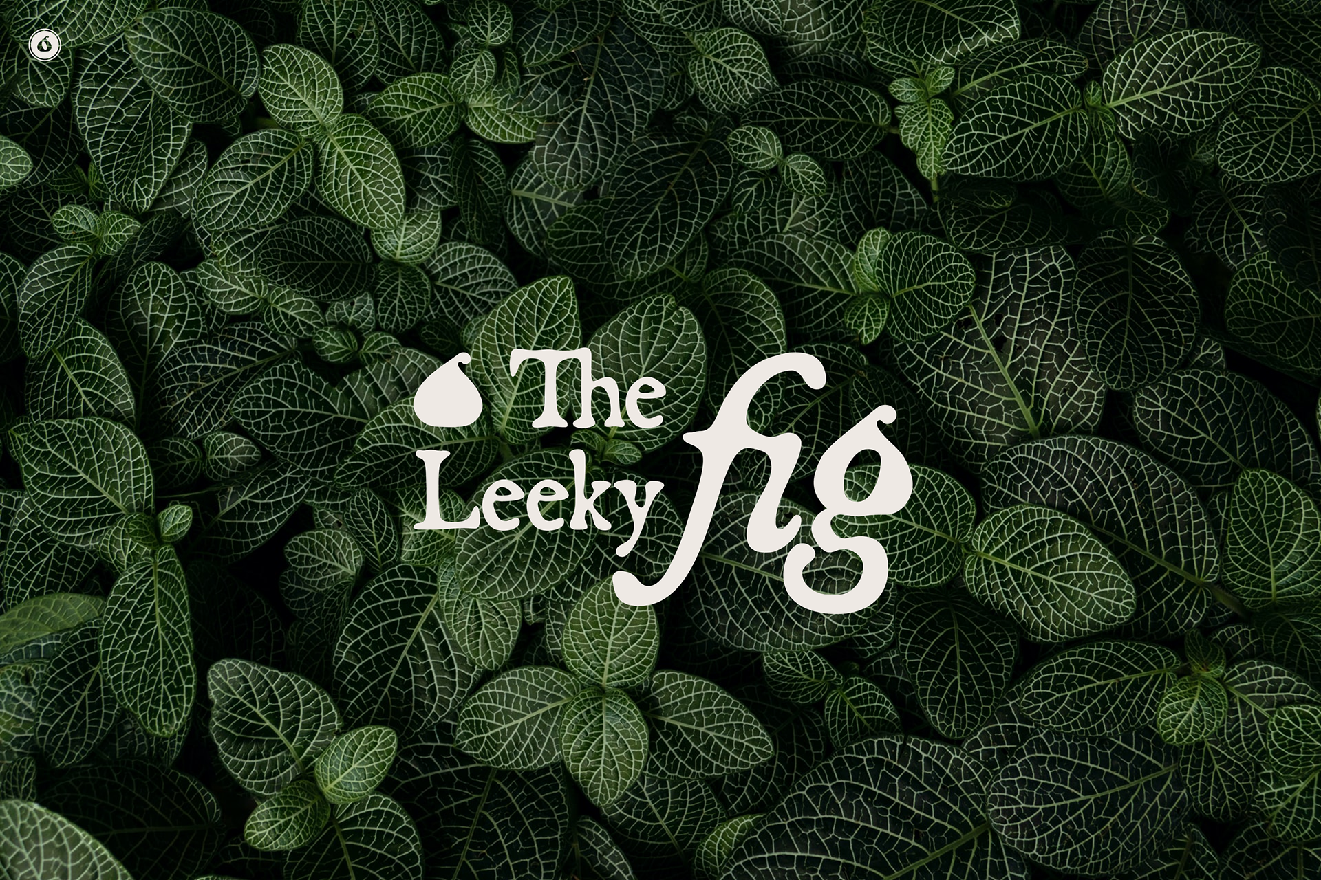 The Leeky Fig; artisan bakery.