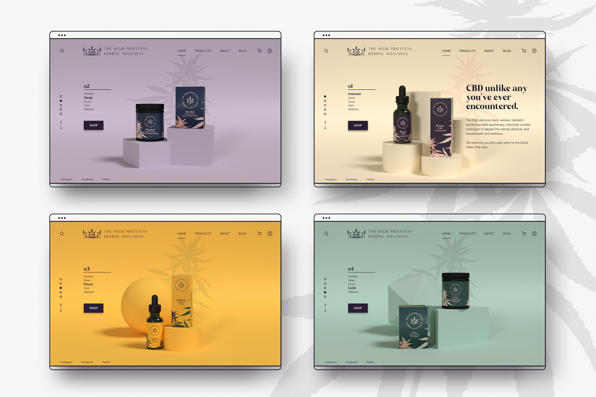 Mockups of the 3D rendered products and landing page concept.