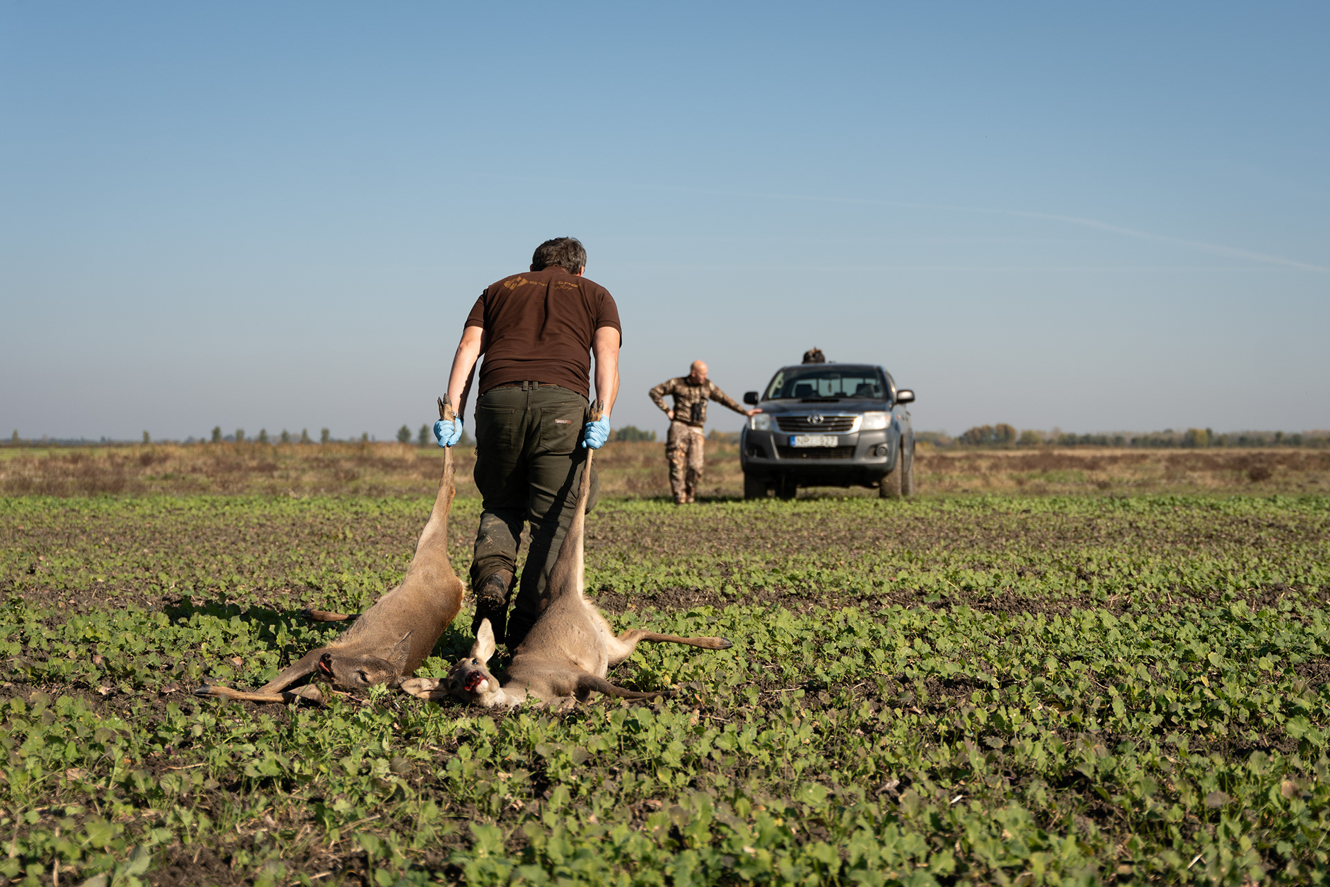 Gamekeepers have a dual role: maintaining wildlife balance while meeting the needs of sport hunters. They regulate populations and protect habitats, balancing ecosystem sustainability with economic interests.
