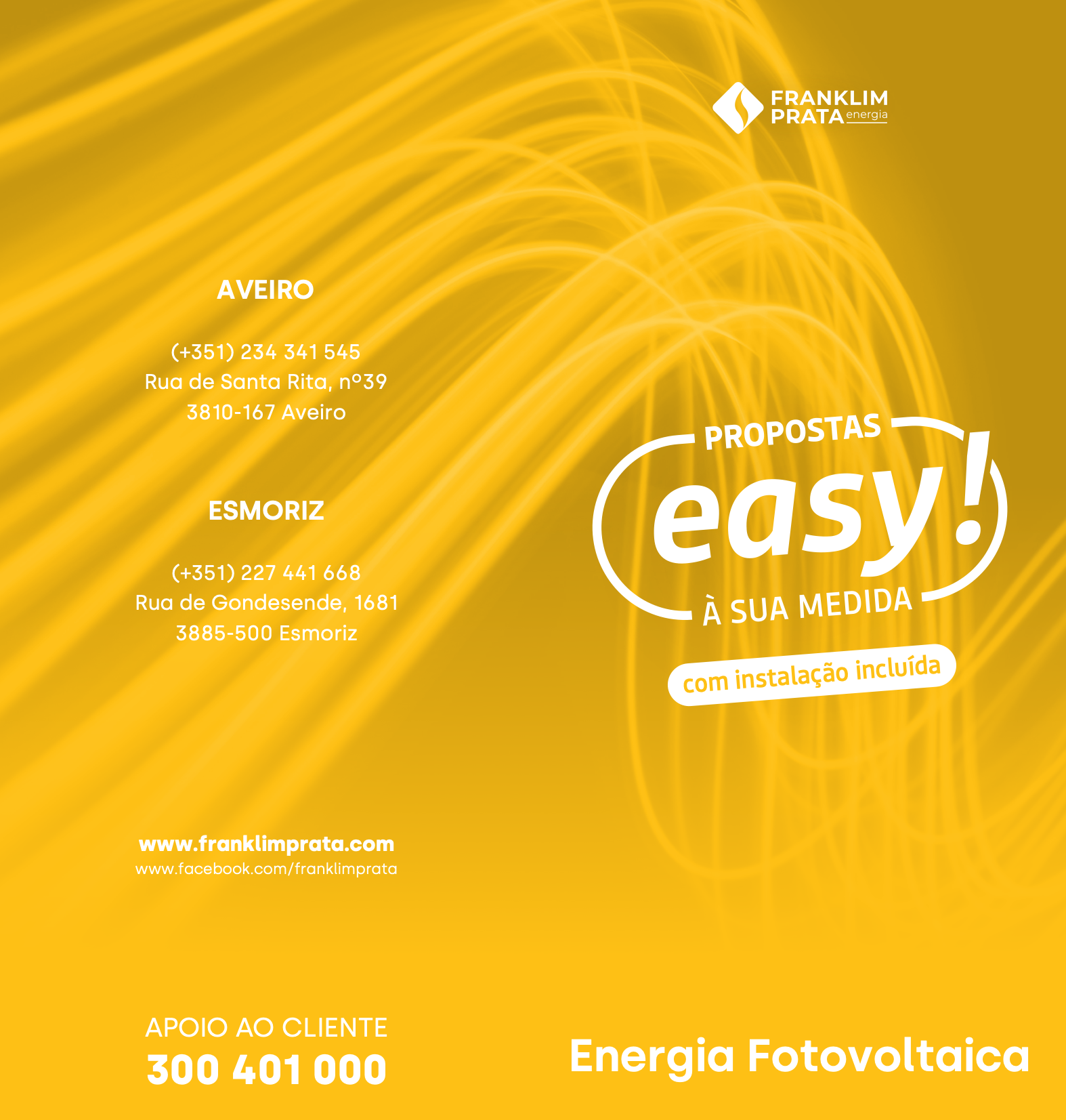 Solar Energy Flyer