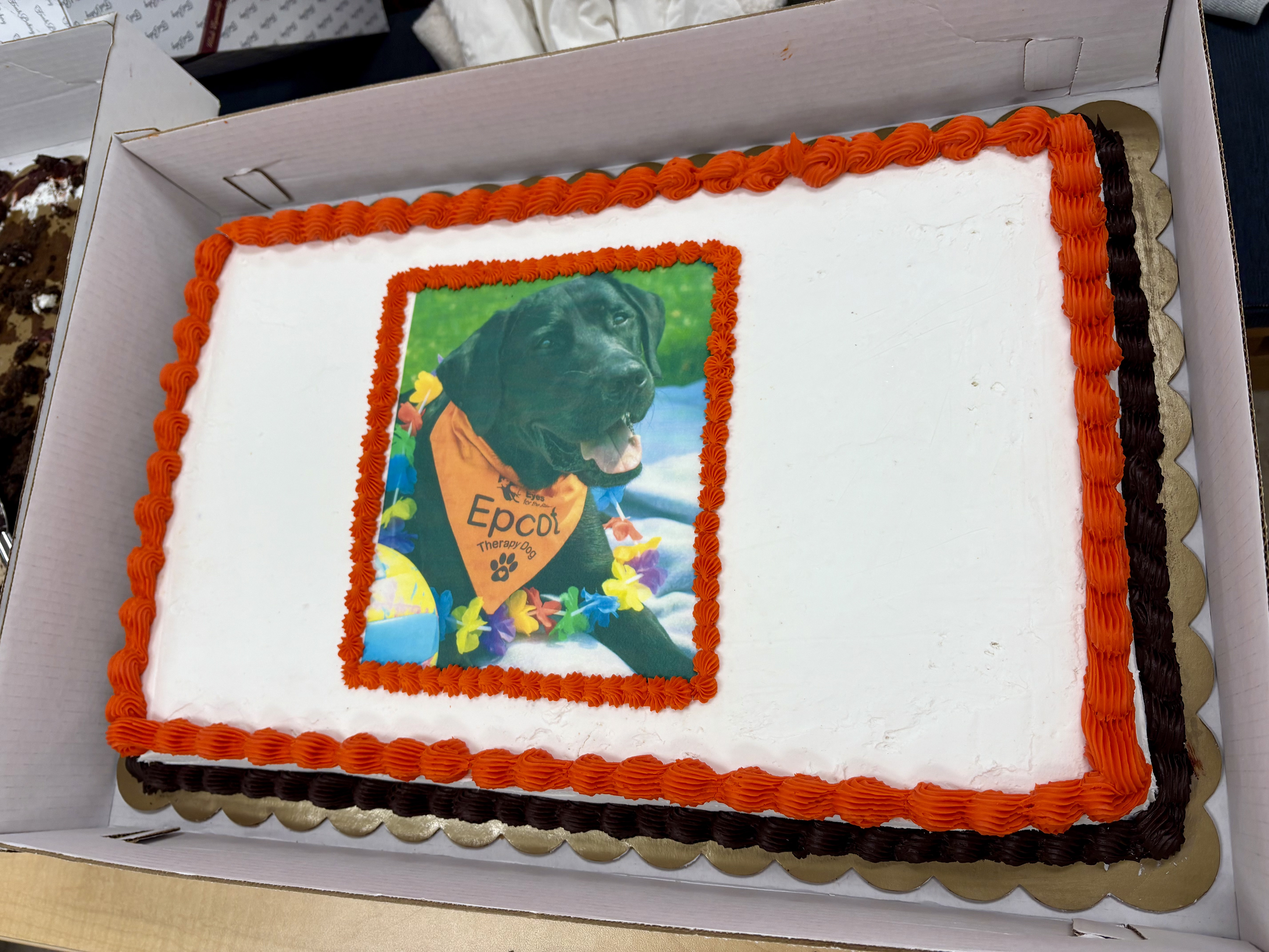 Blacksburg, Virginia, March 28, 2025 — Sweet Treats: Virginia Tech’s therapy dog, Epcot’s personalized birthday cake with chocolate and vanilla filling.