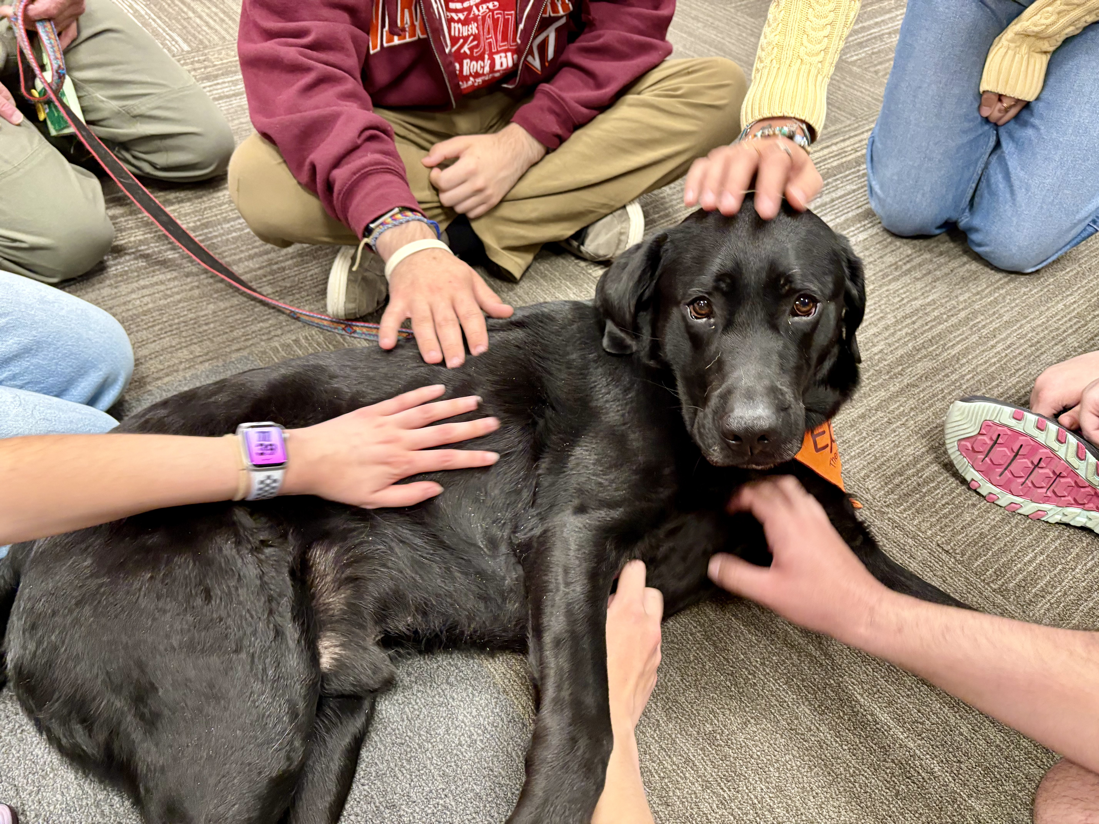 Blacksburg, Virginia, March 28, 2025 — All Paws on Epcot: Students spent a majority of the birthday party petting and cuddling with Cook Counseling’s furry friends.