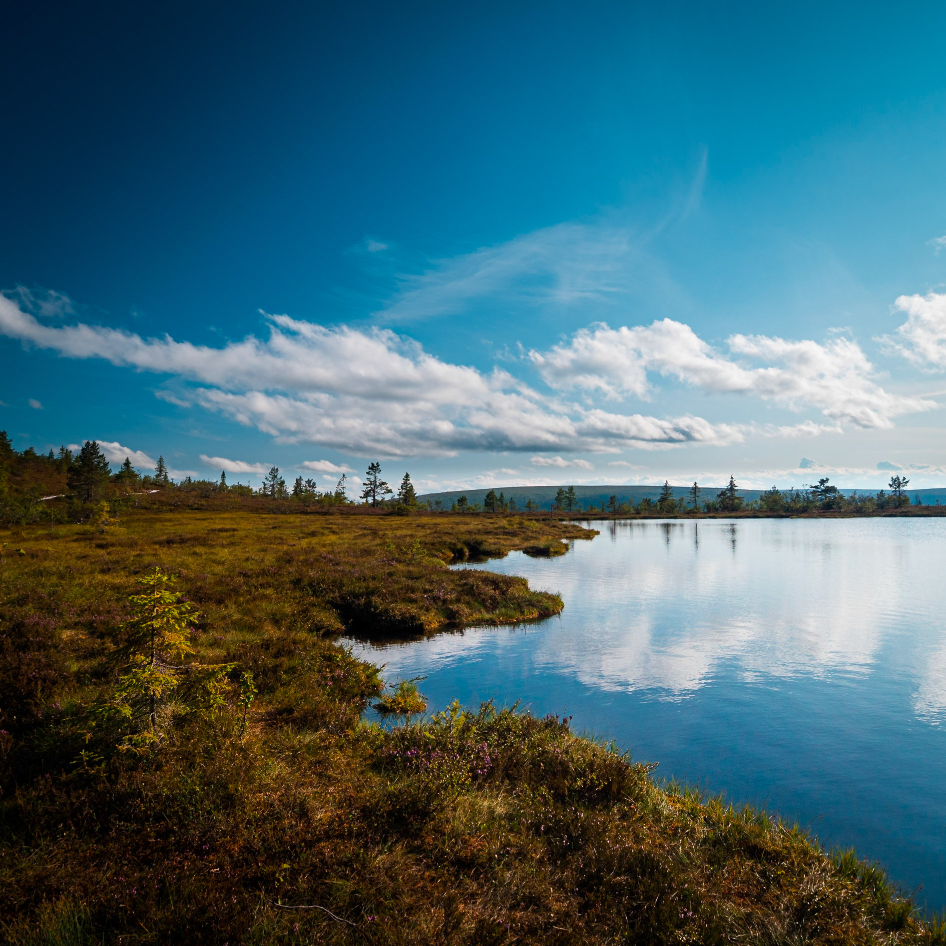 Södra Kungsleden, Sälen
