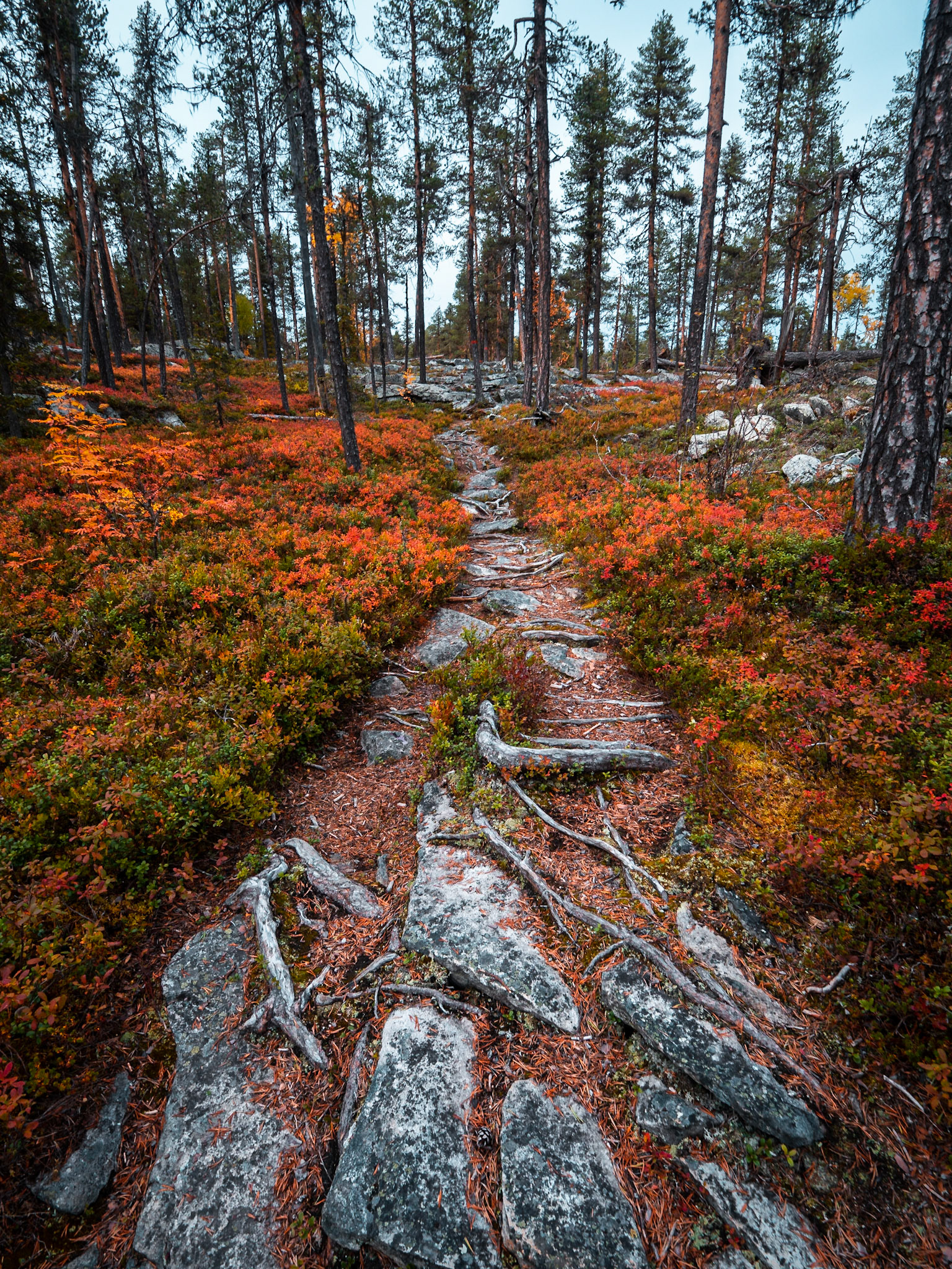 Muddus Nationalpark