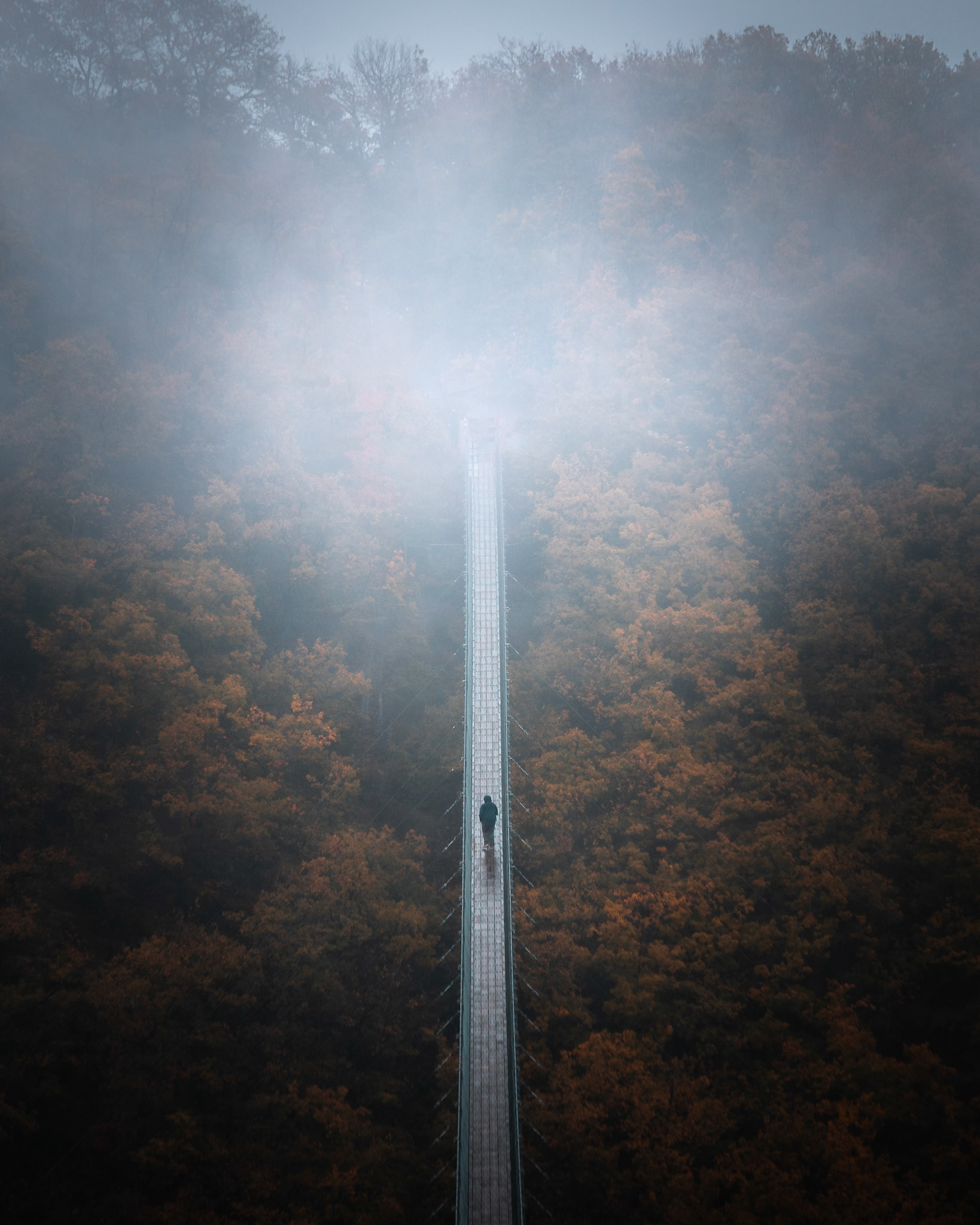 Hängeseilbrücke Geierlay